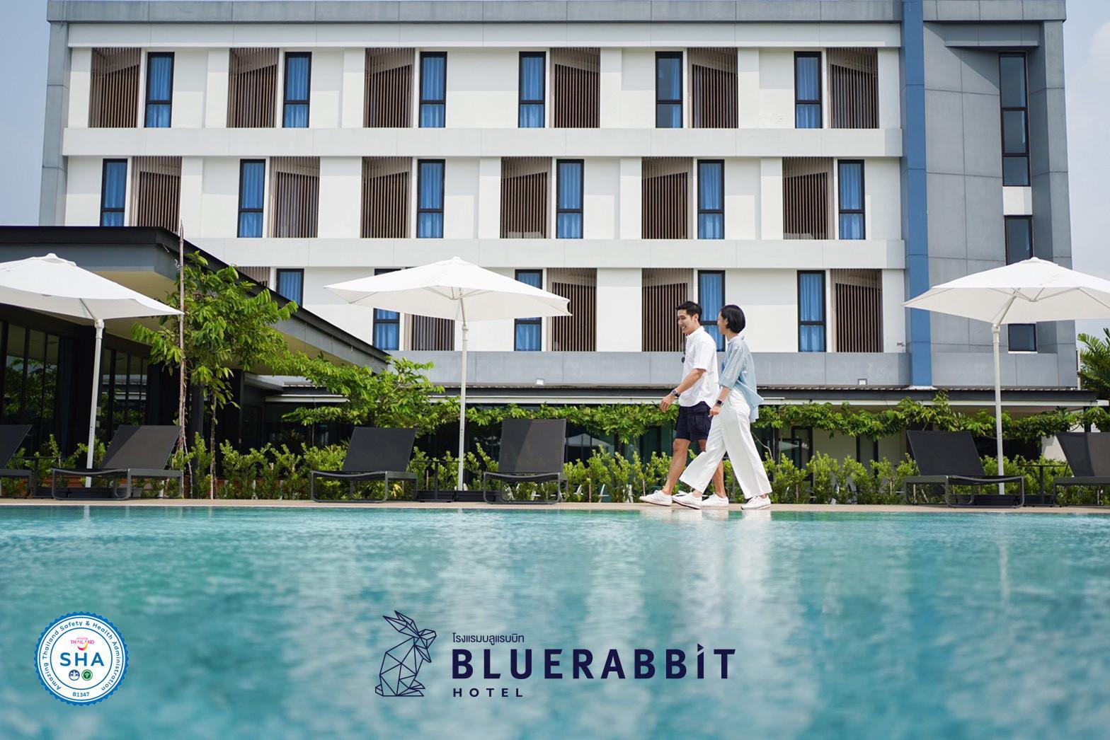 Blue rabbit hotel image