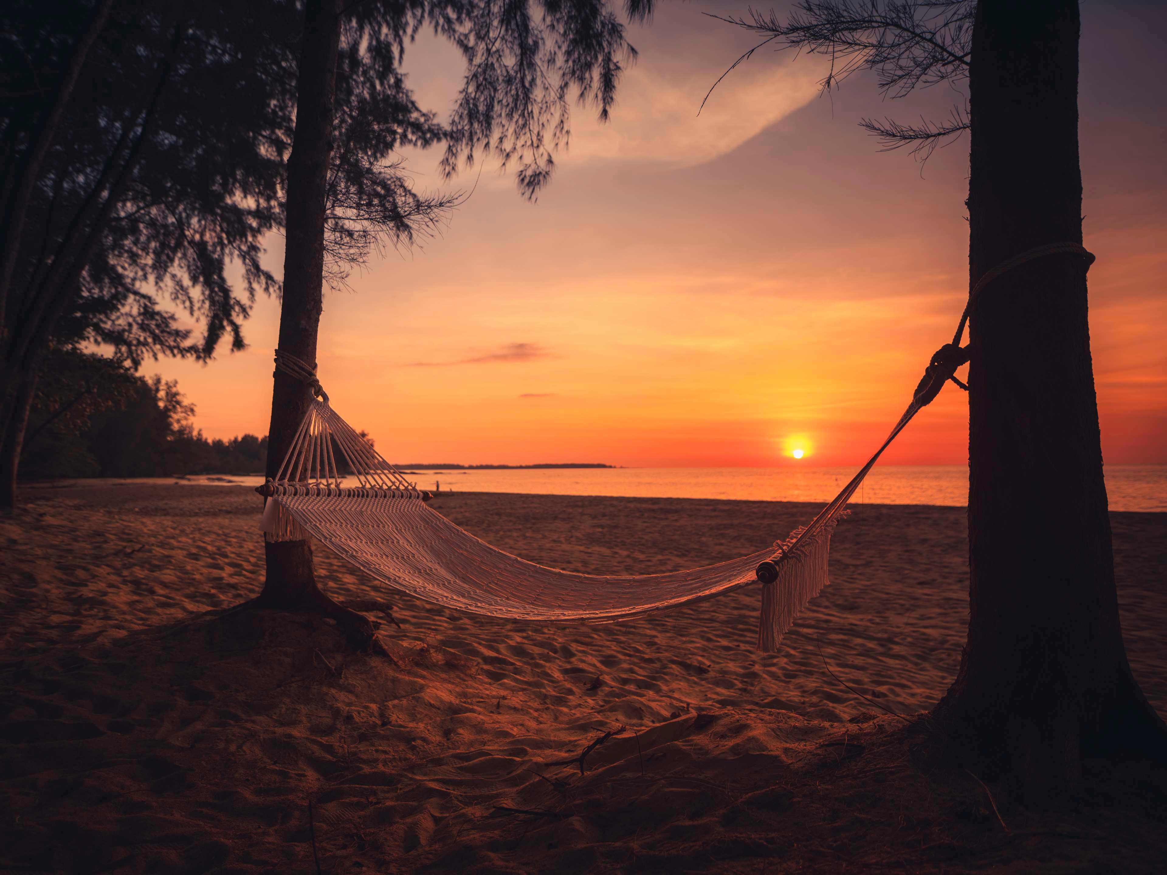 Avani+ Khao Lak Resort by null