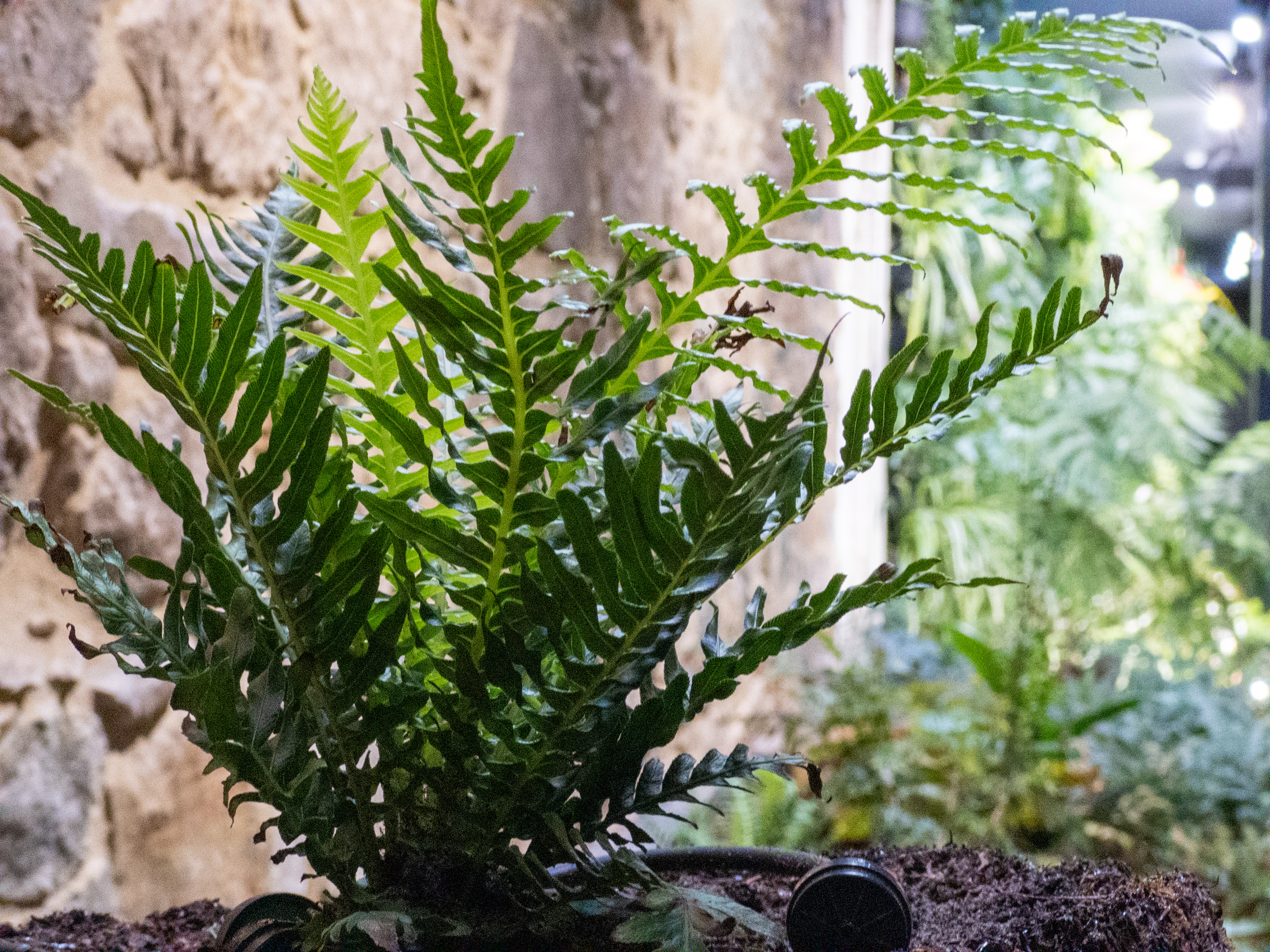 MOSS Hotel - 39 by null