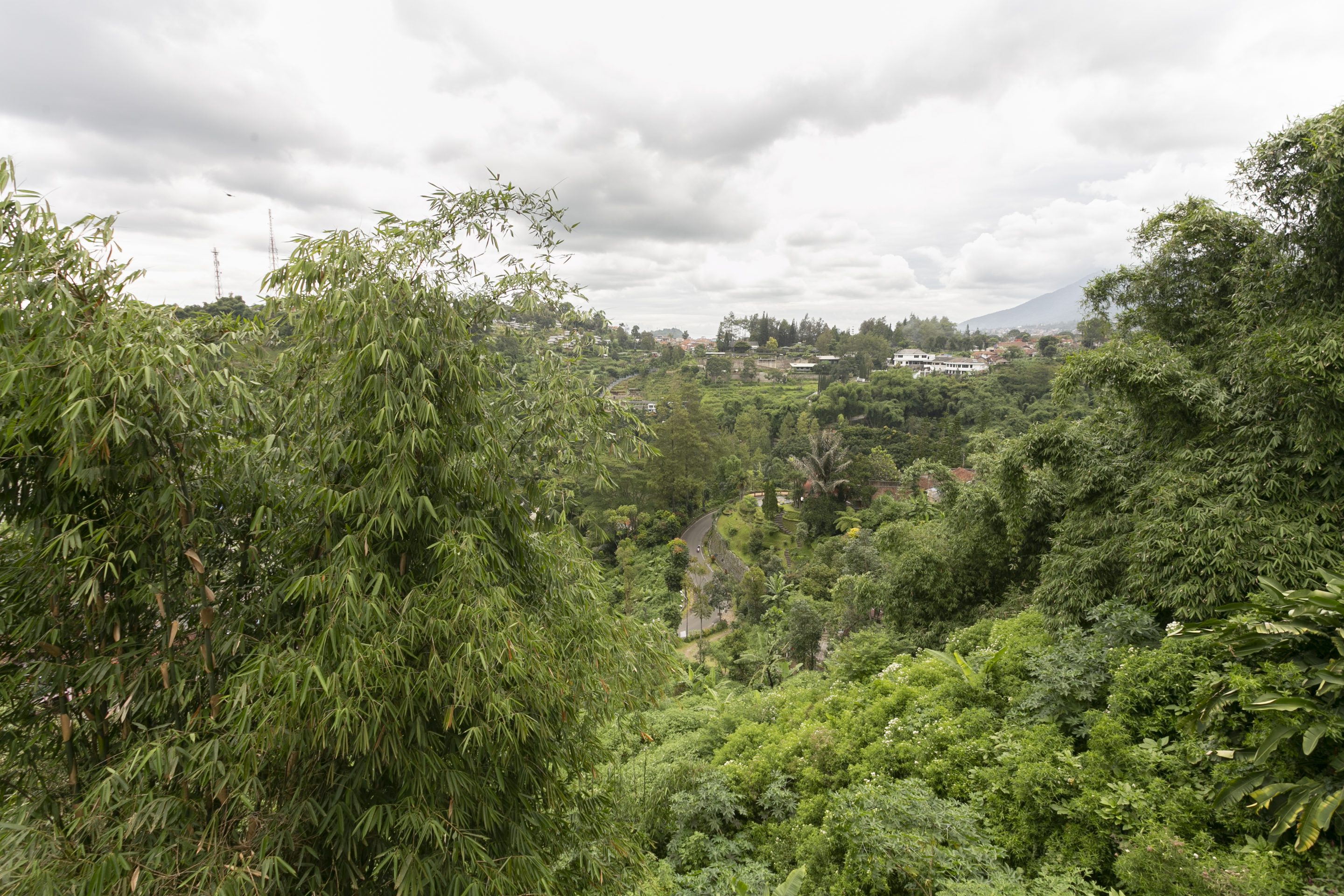 Oyo 3130 Valley