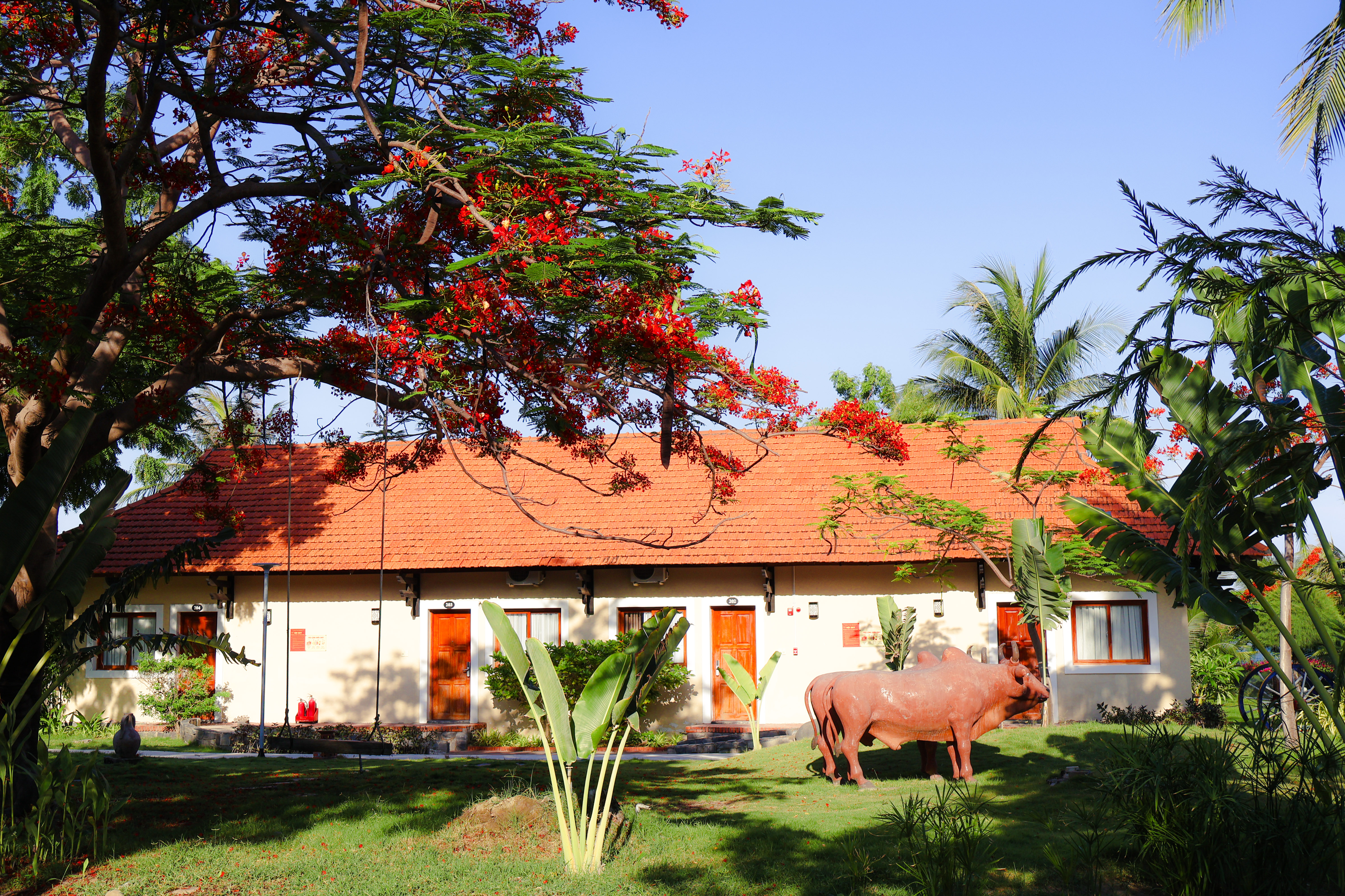 TTC Resort Ninh Thuan - Free Water Park Access - photo