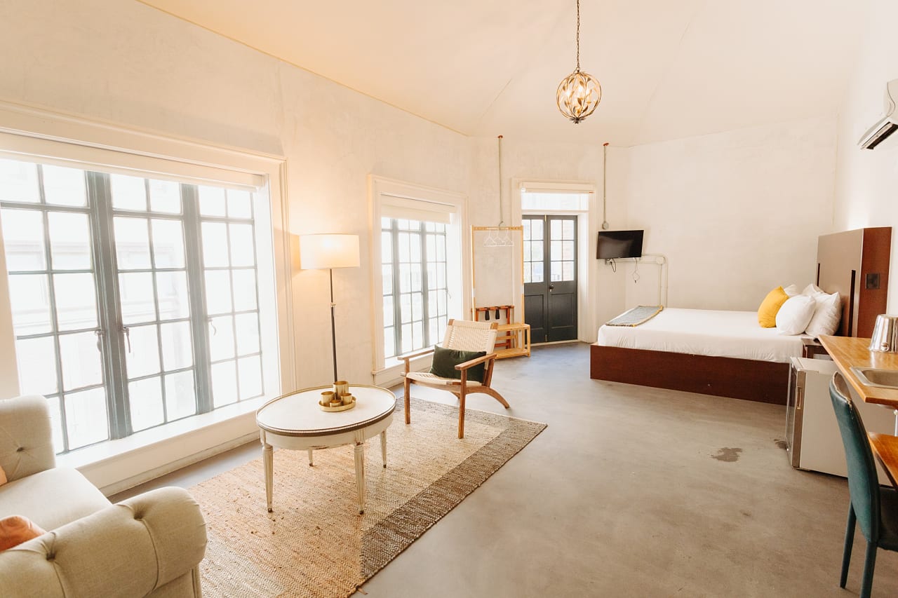 Catahoula New Orleans by null