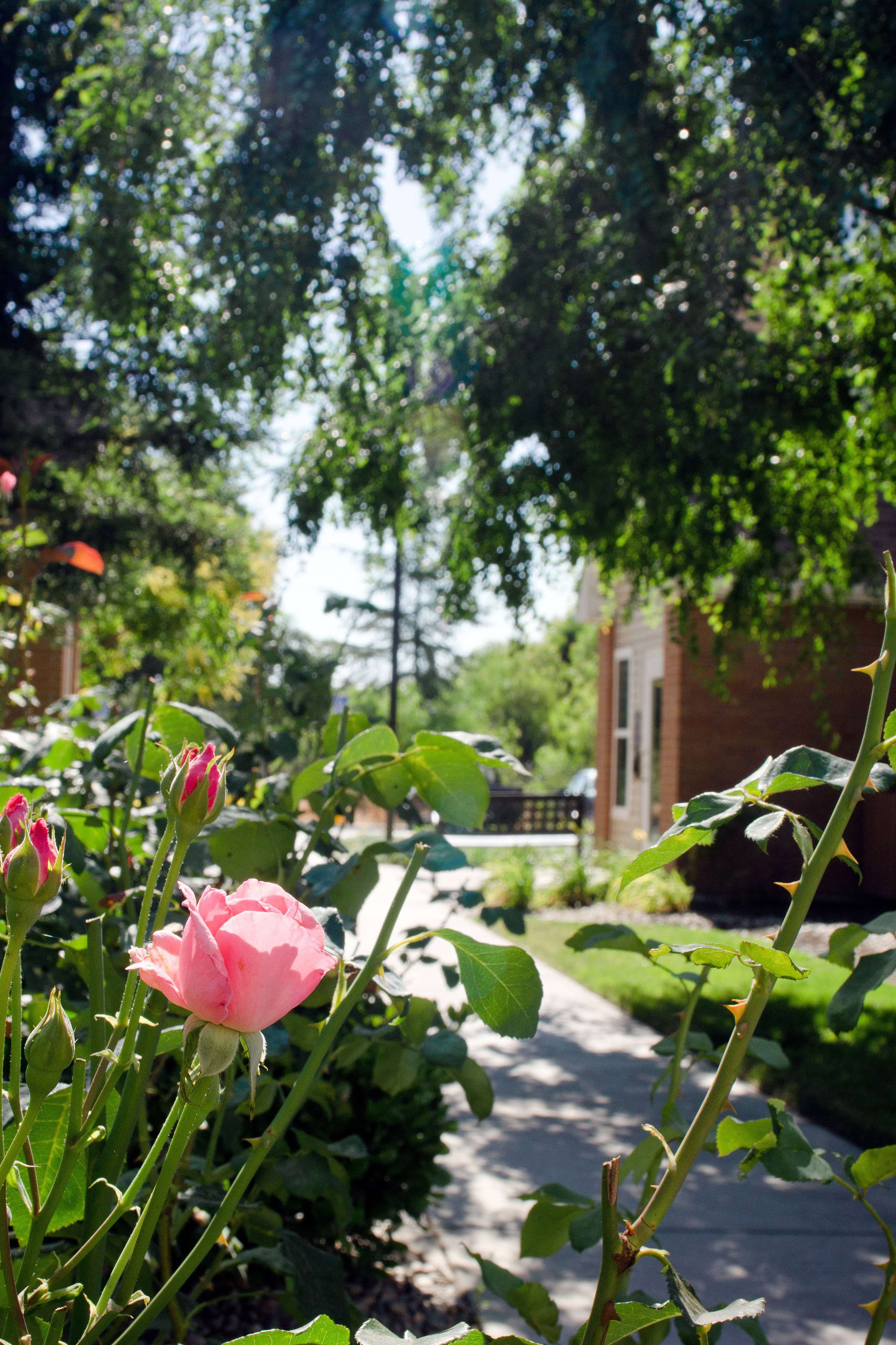 Sonesta ES Suites Fresno by null