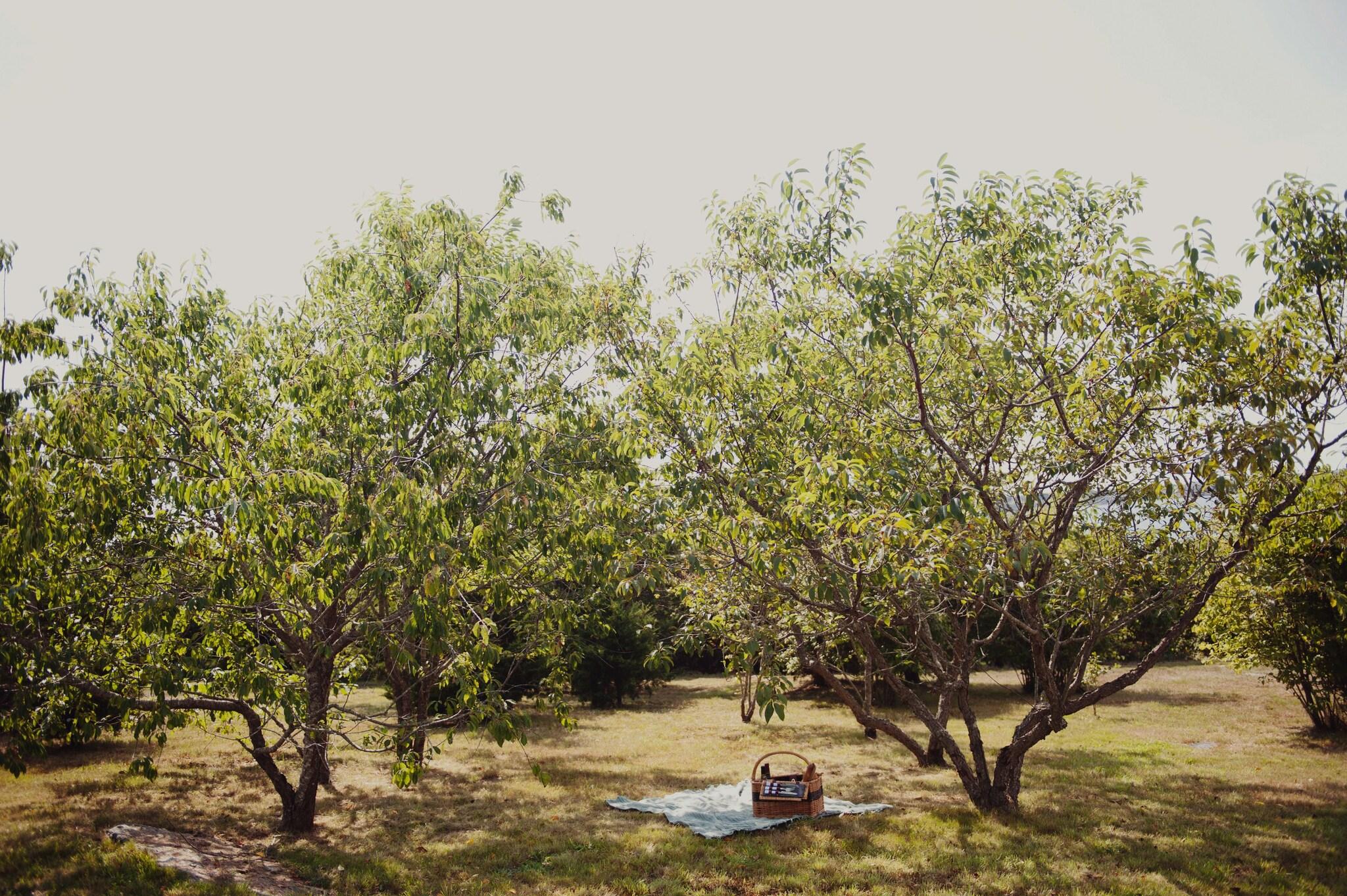 Castle Hill Inn by null Castle Hill Inn by null