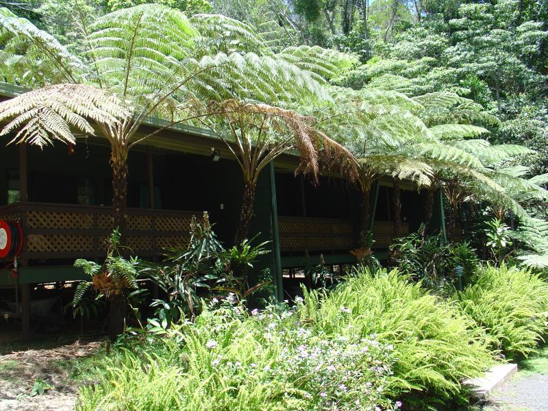 Chambers Wildlife Rainforest Lodges image