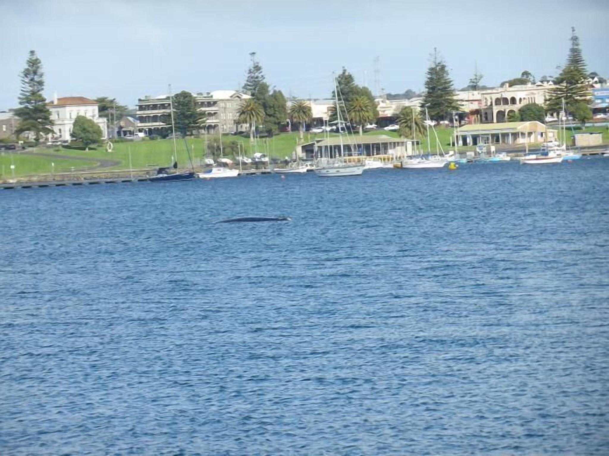 Melaleuca Motel