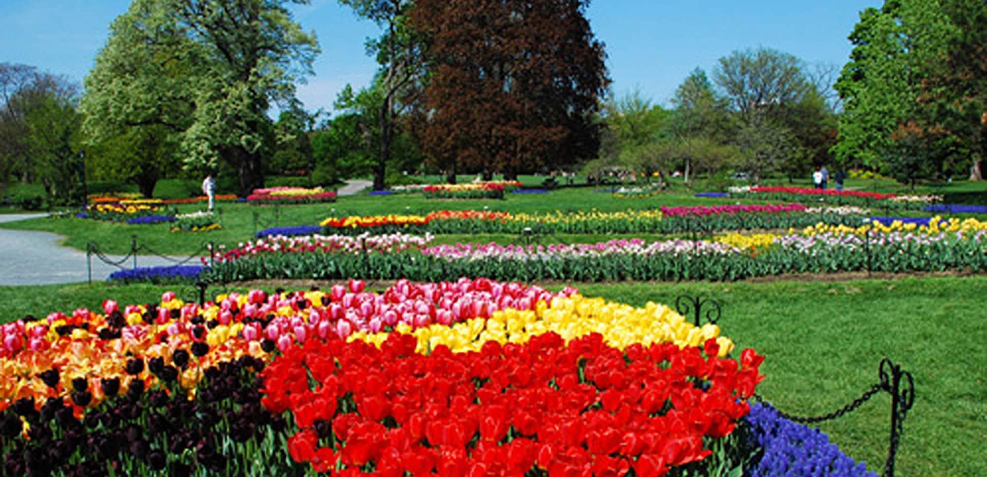 Morgan State House Inn by null