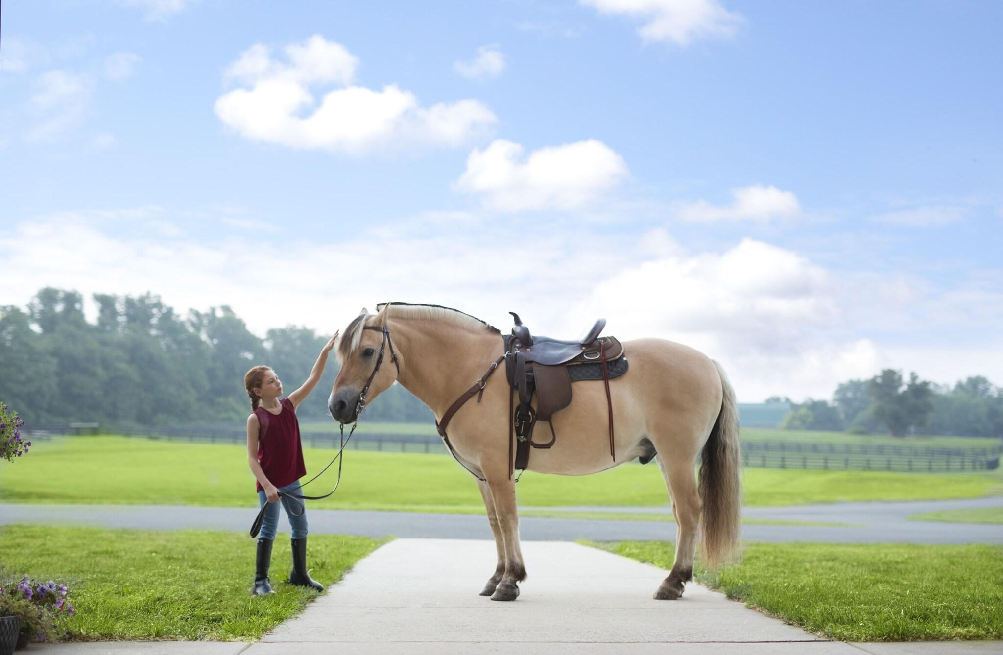 Salamander Middleburg by null