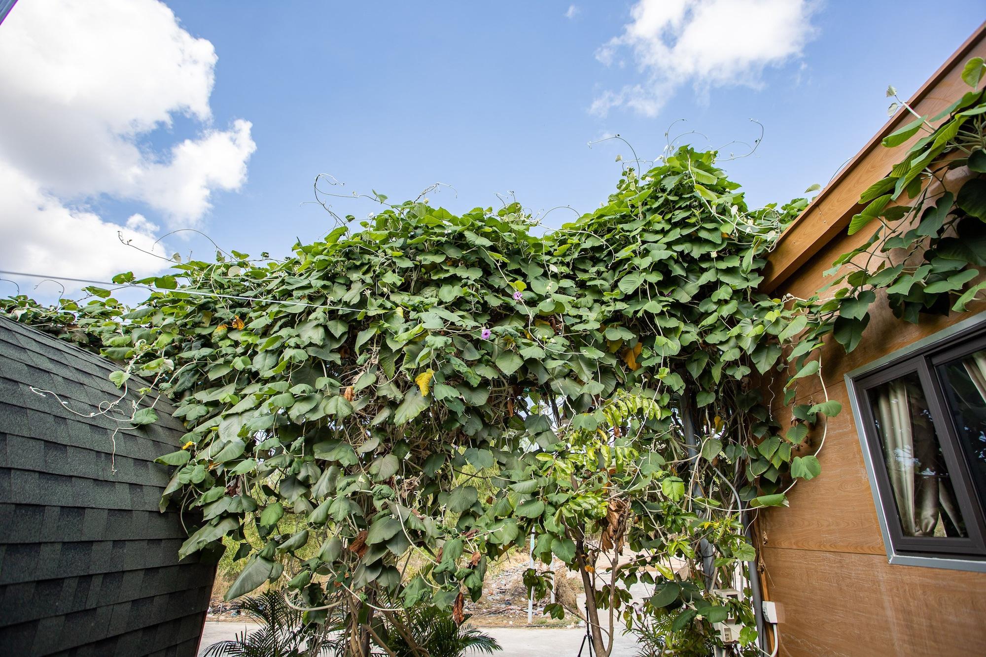 OYO 952 Linh Dan Bungalow - фото