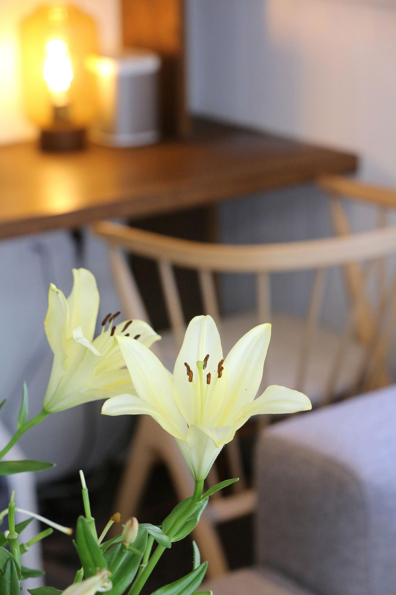 Chalet Hotel Whymper - photo