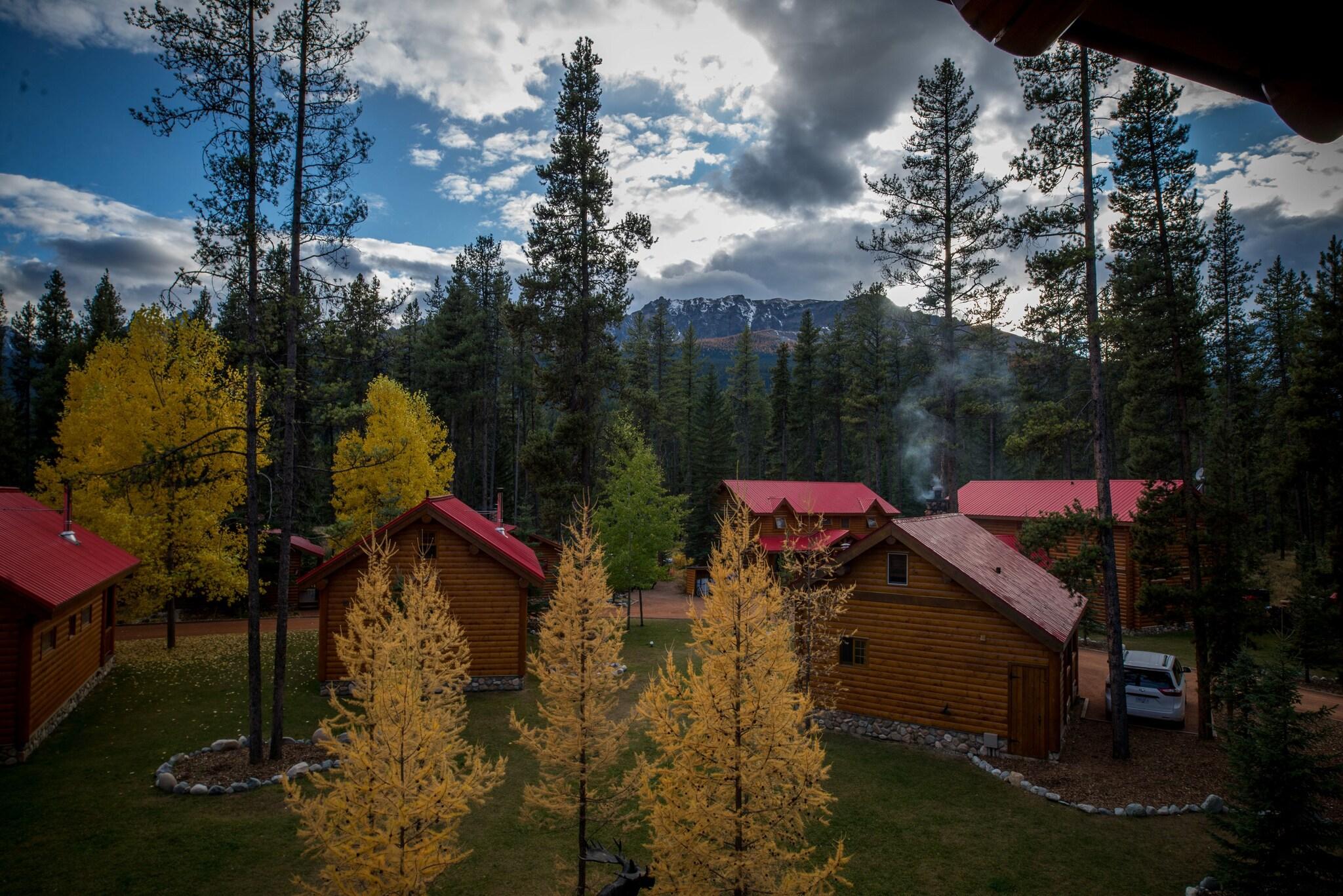 Baker Creek By Basecamp by null