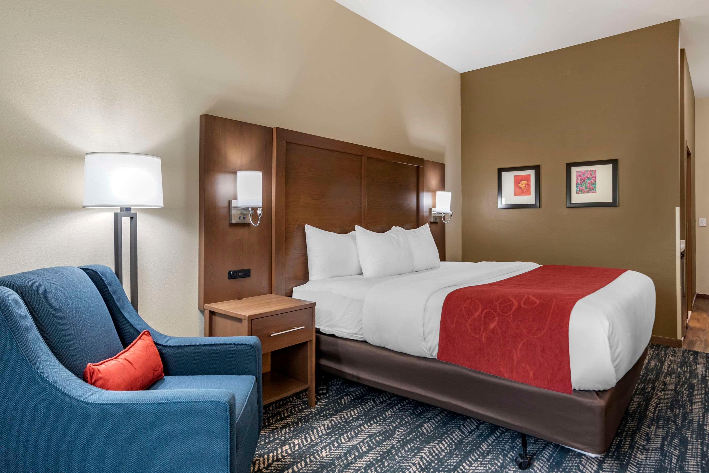 Comfort Inn Suites Downtown Near University