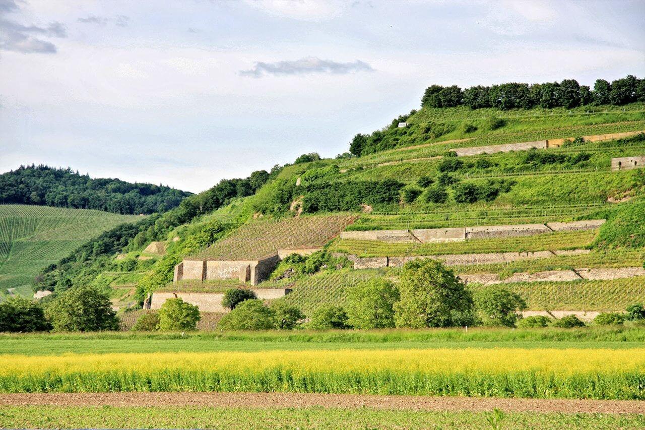 Winzerstube by null