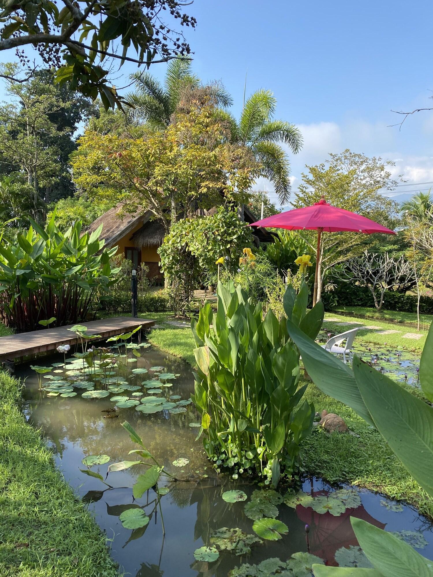 Pura Vida Pai Resort by null