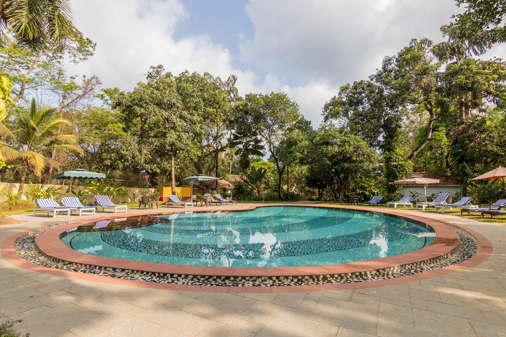 Granpas Inn Bougainvillea