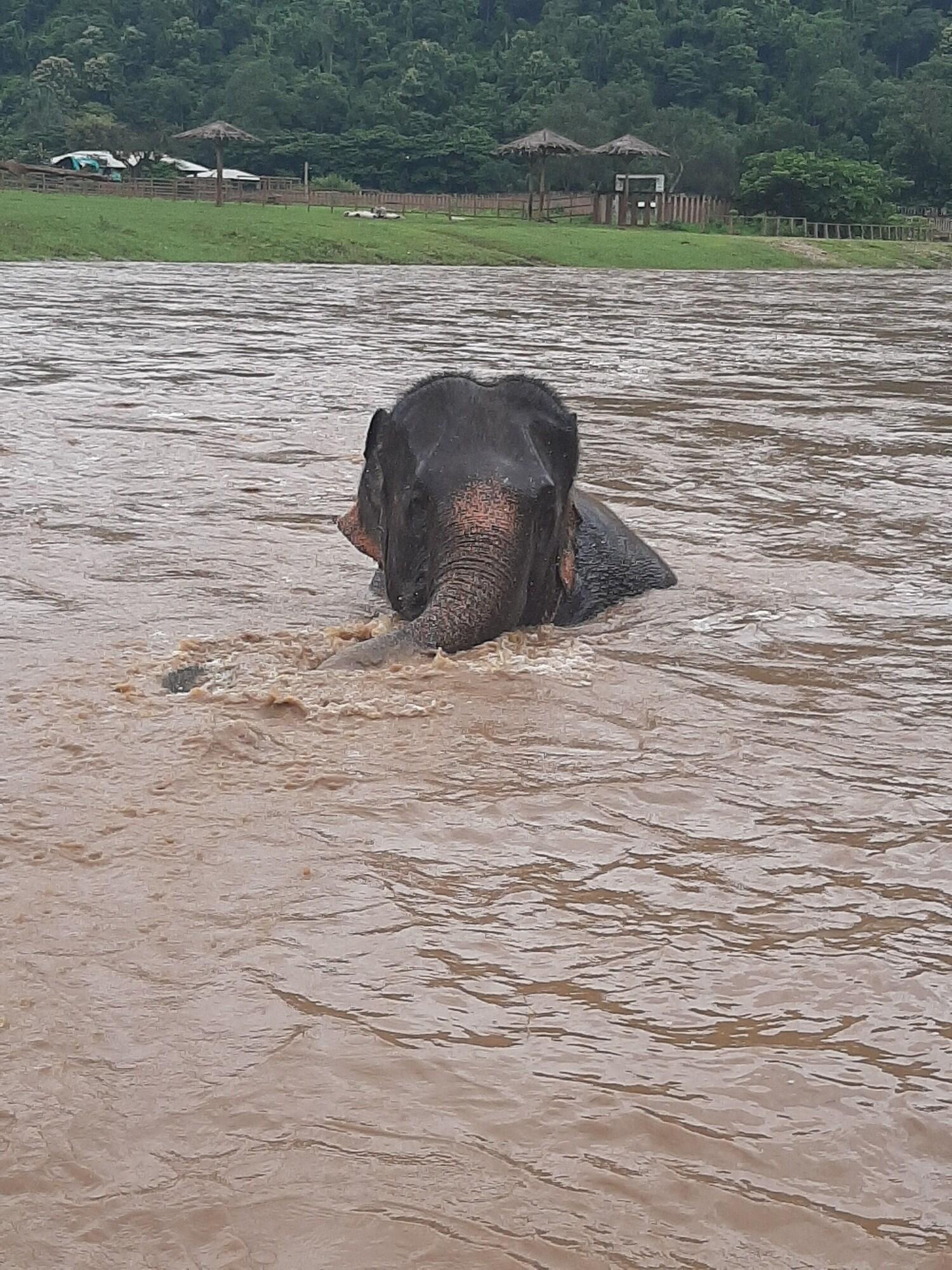 Liam's Guesthouse Adults Only by null