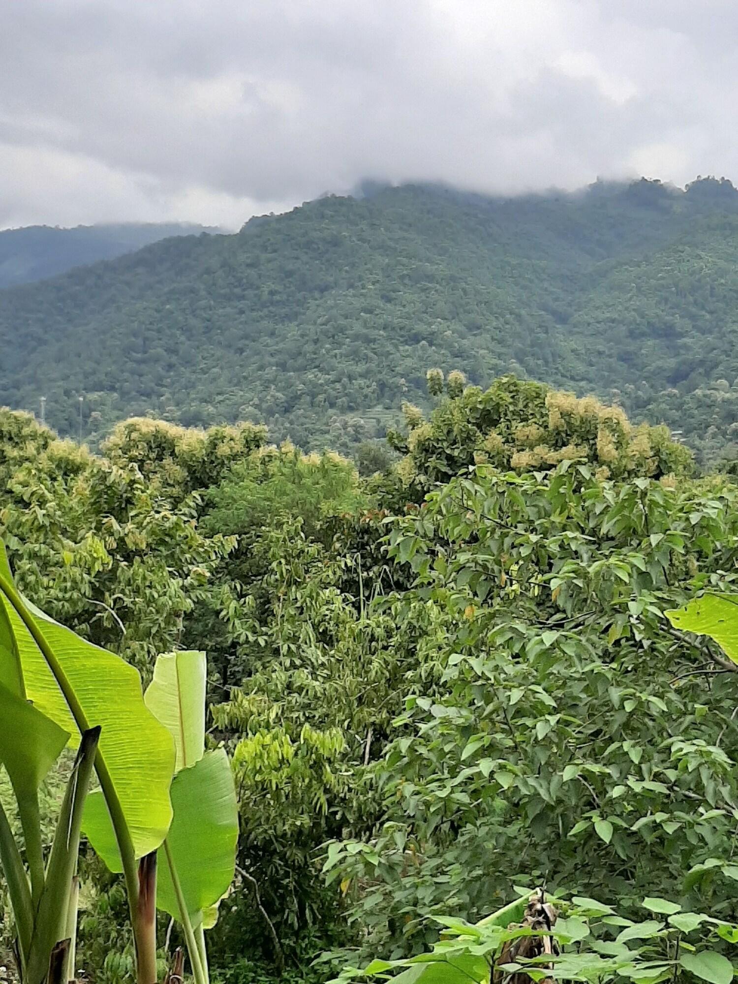 Liam's Guesthouse Adults Only by null