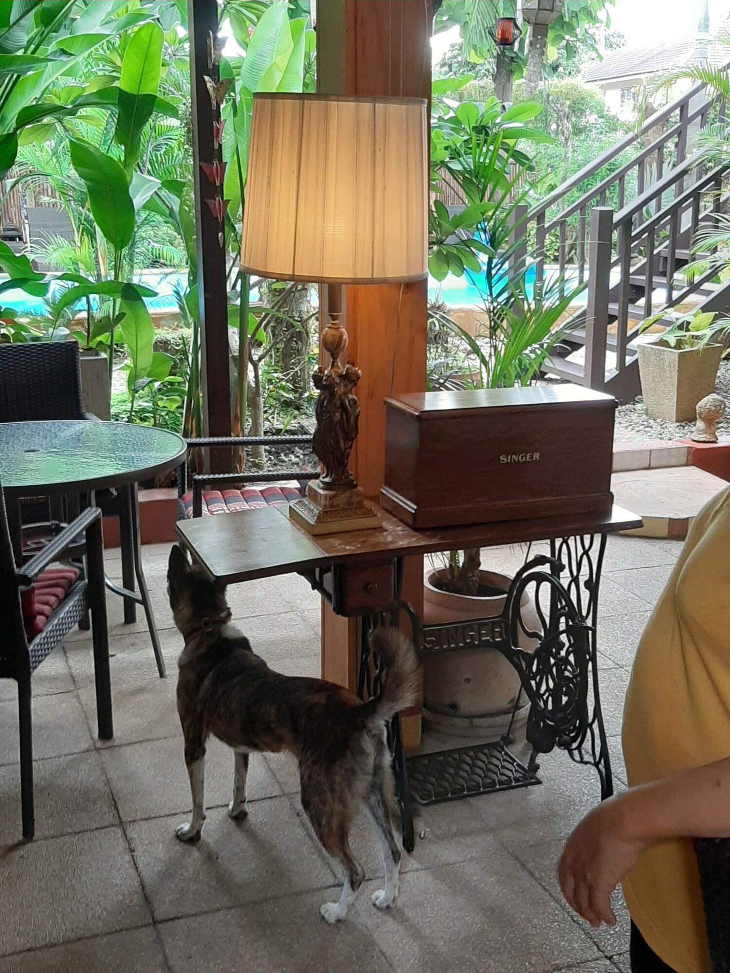 Liam's Guesthouse Adults Only by null