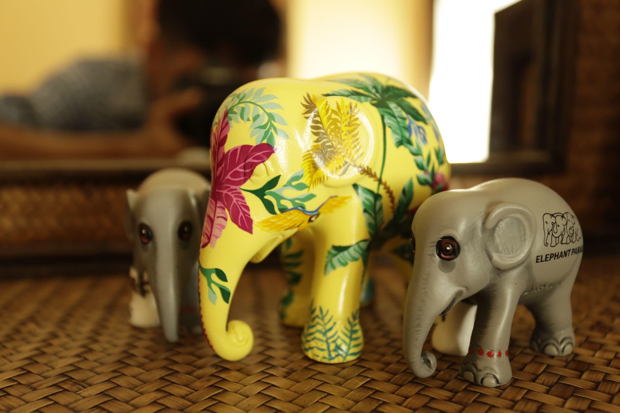 Liam's Guesthouse Adults Only by null