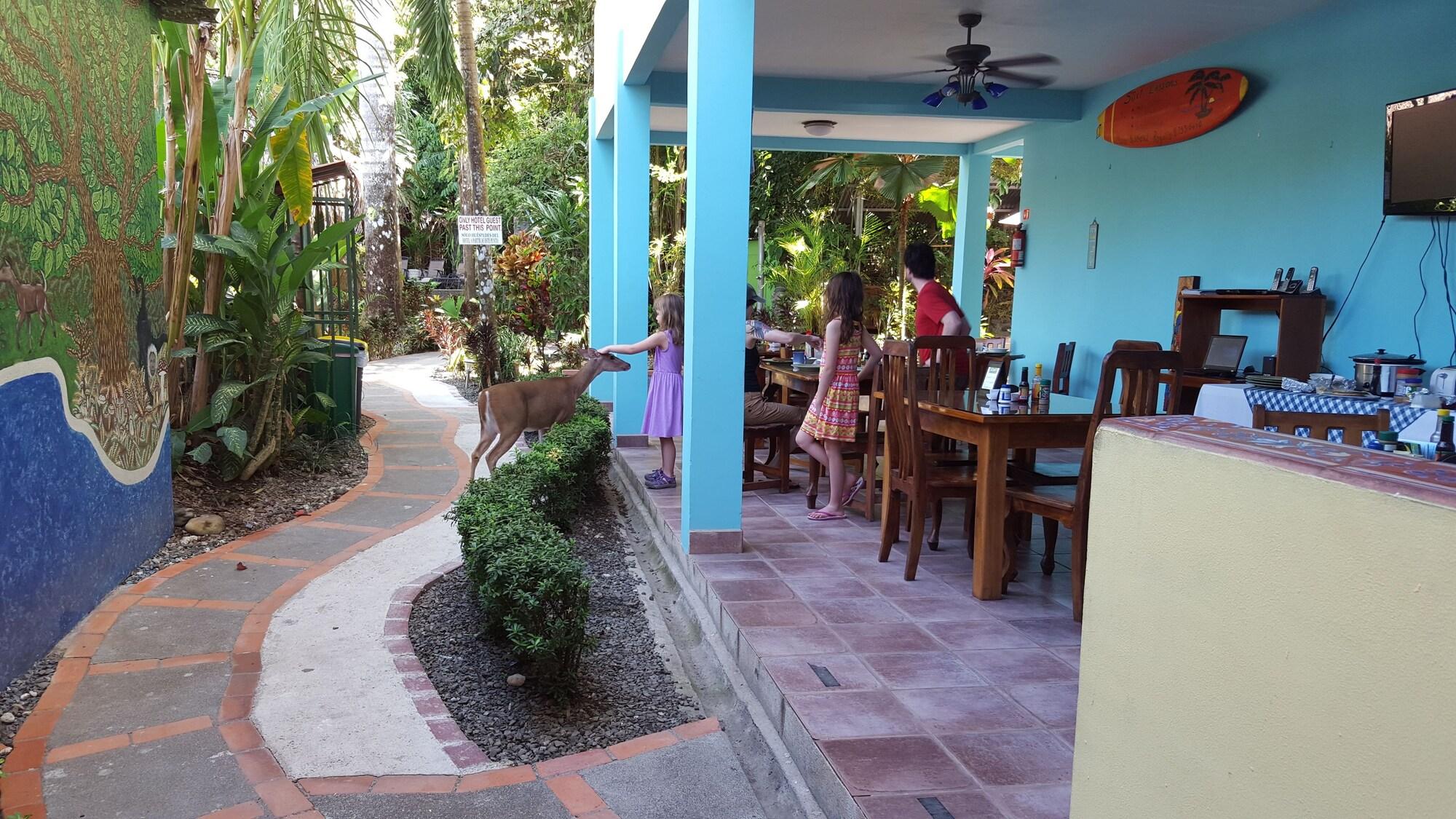 Hotel La Posada And Jungle