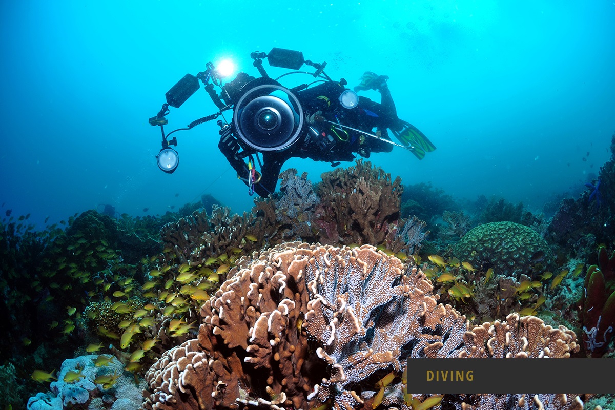 Club Serena Resort by null