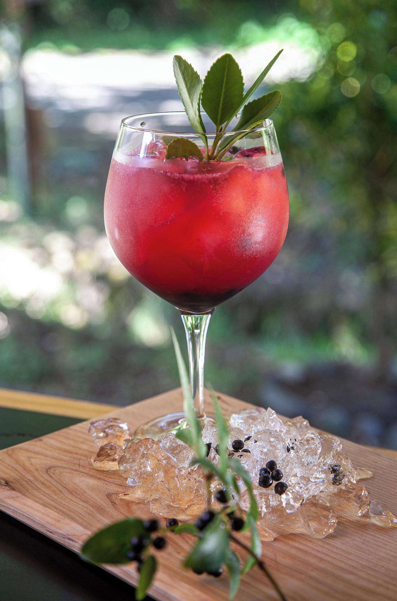 Alto Melimoyu Hotel & Patagonia by null