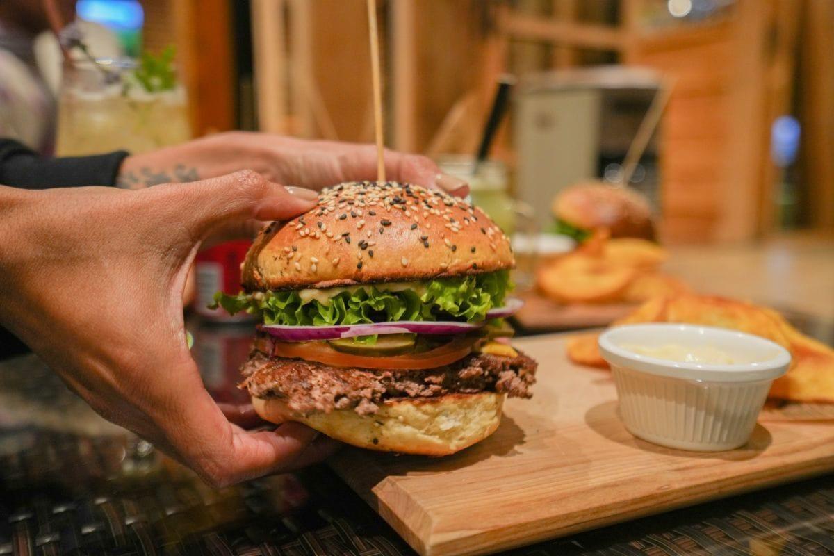 Alto Melimoyu Hotel & Patagonia by null