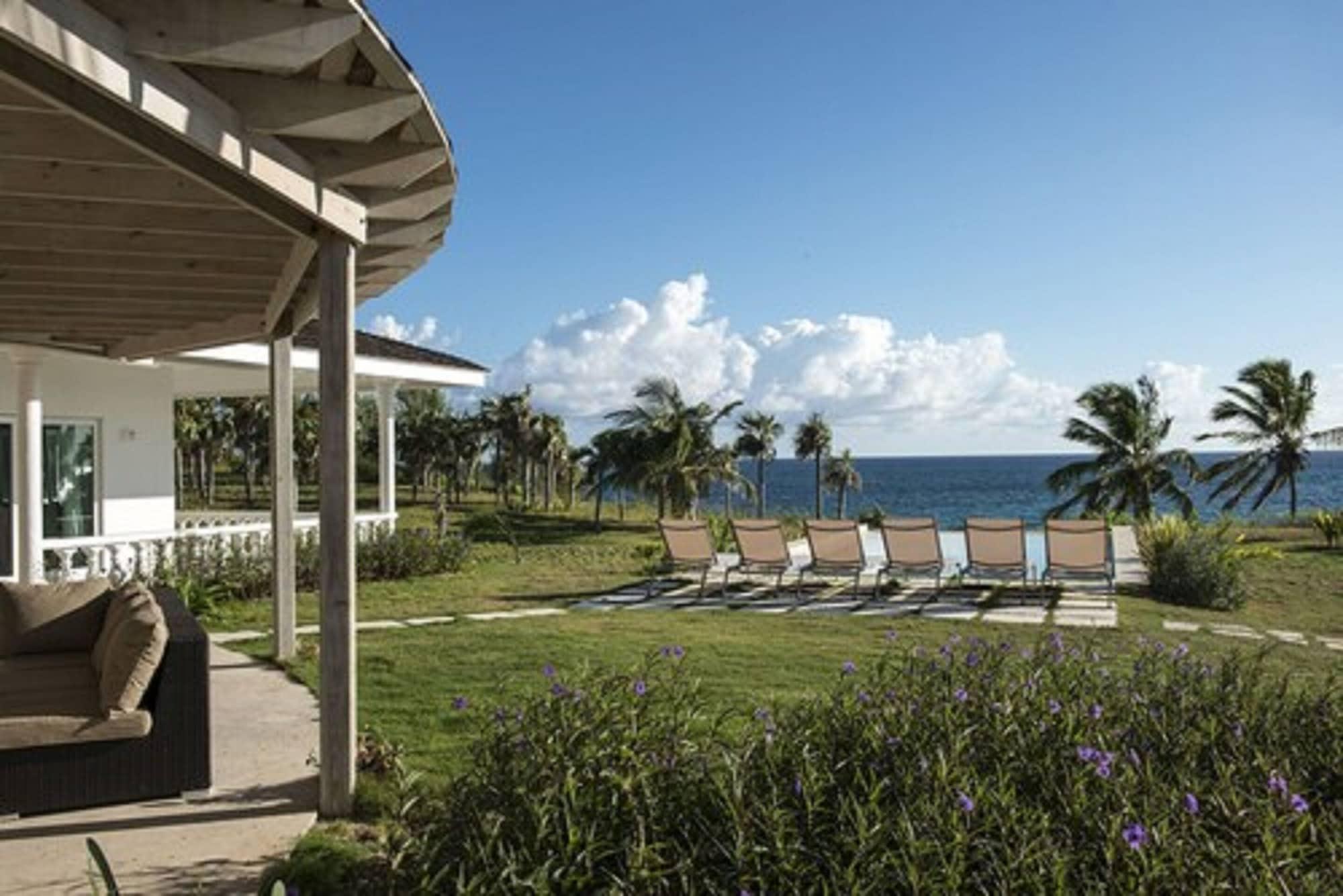 La Bougainvillea by null