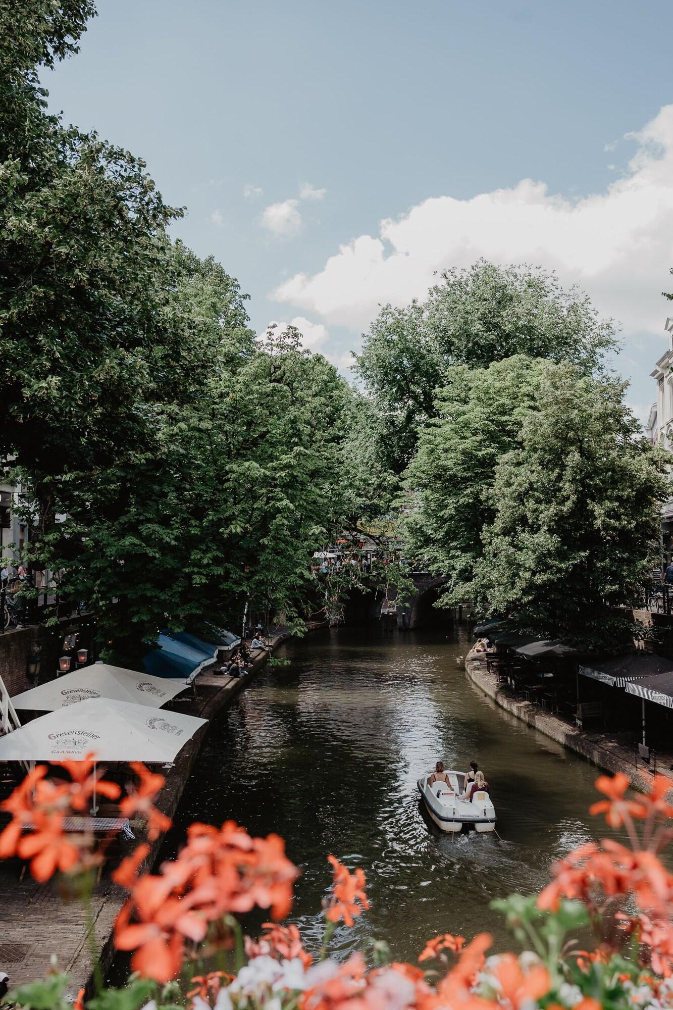 Mother Goose Hotel by null