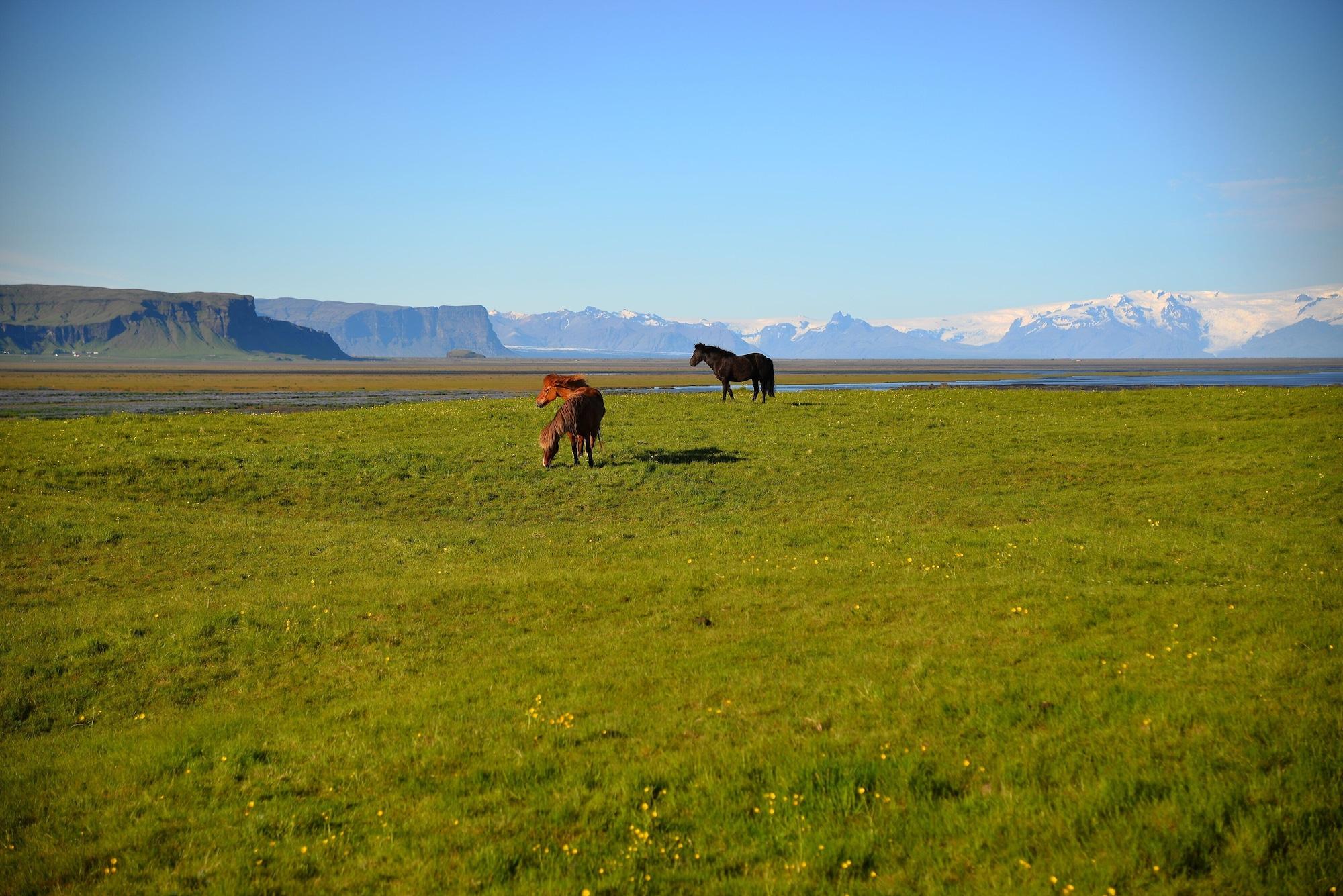 Klausturhof Guesthouse by null