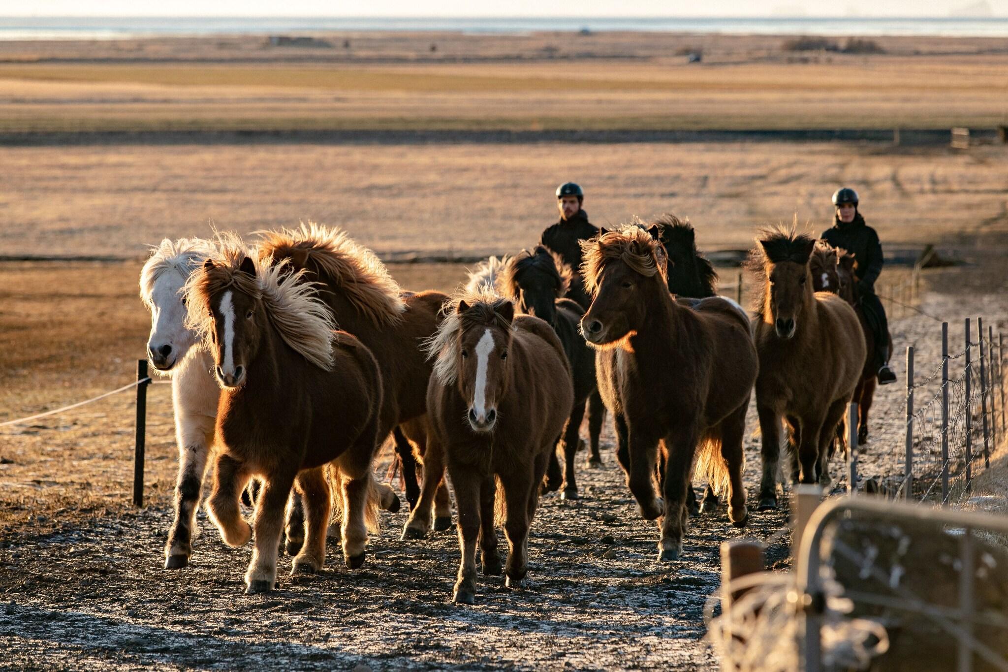 Skálakot Hotel by null