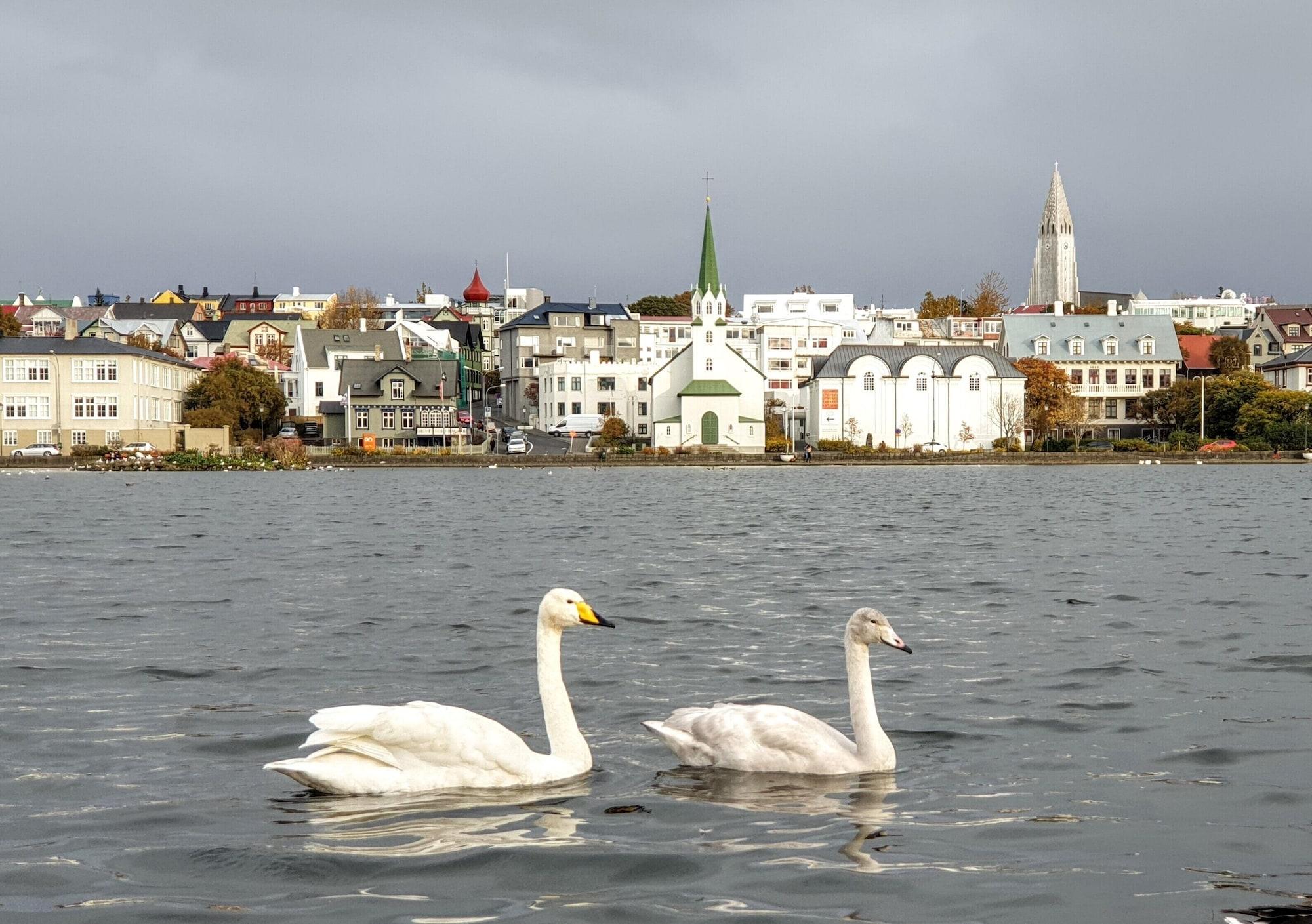 Laekur Hostel by null