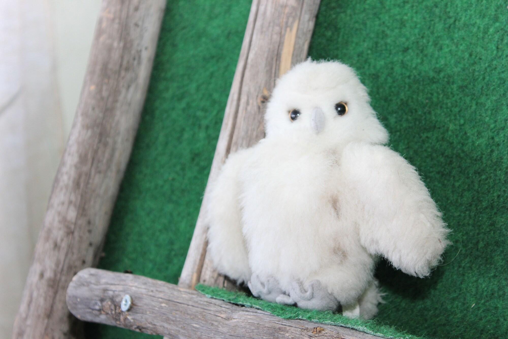 STF Östersund Ledkrysset hostel by null