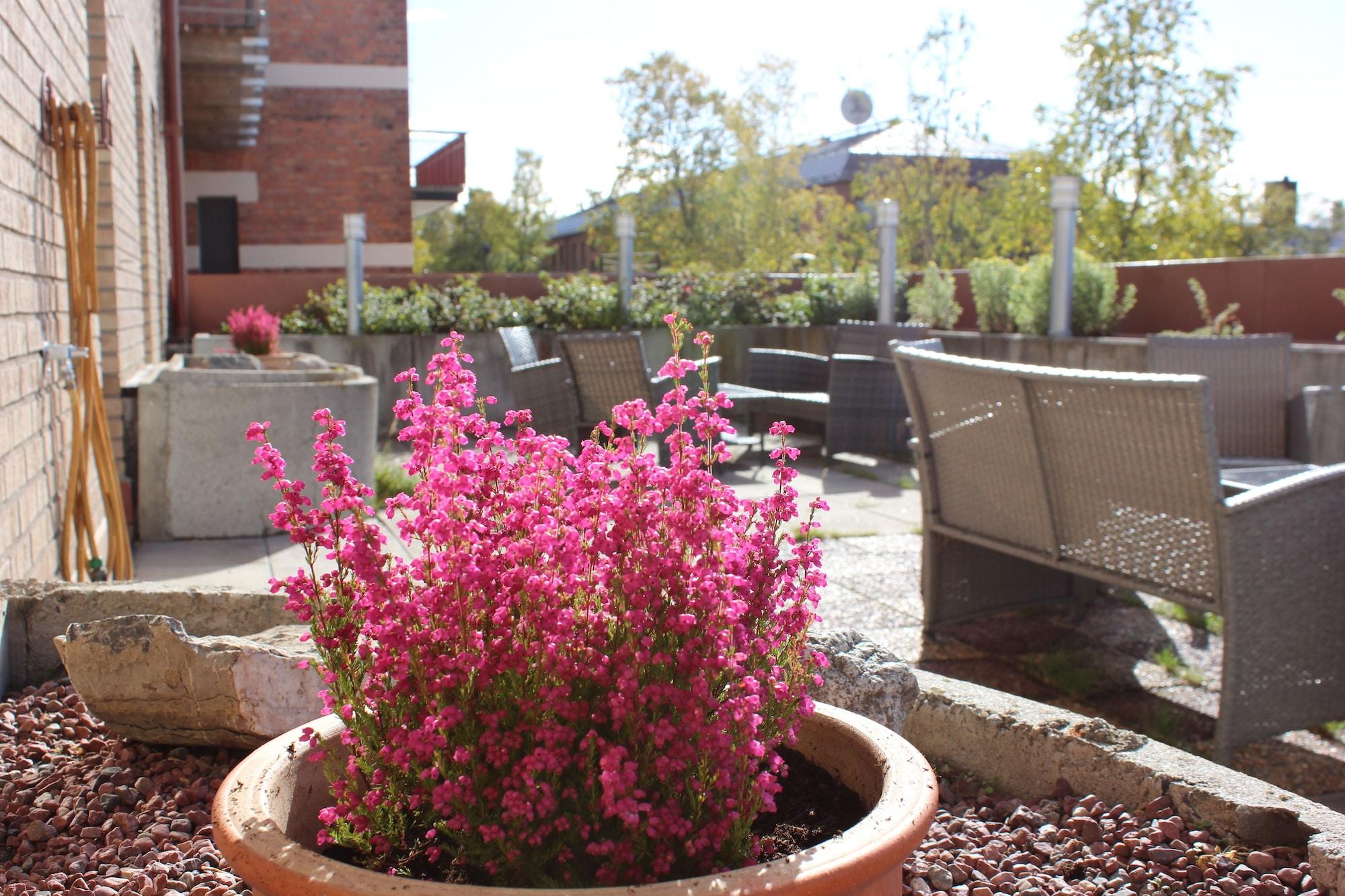 STF Östersund Ledkrysset hostel by null