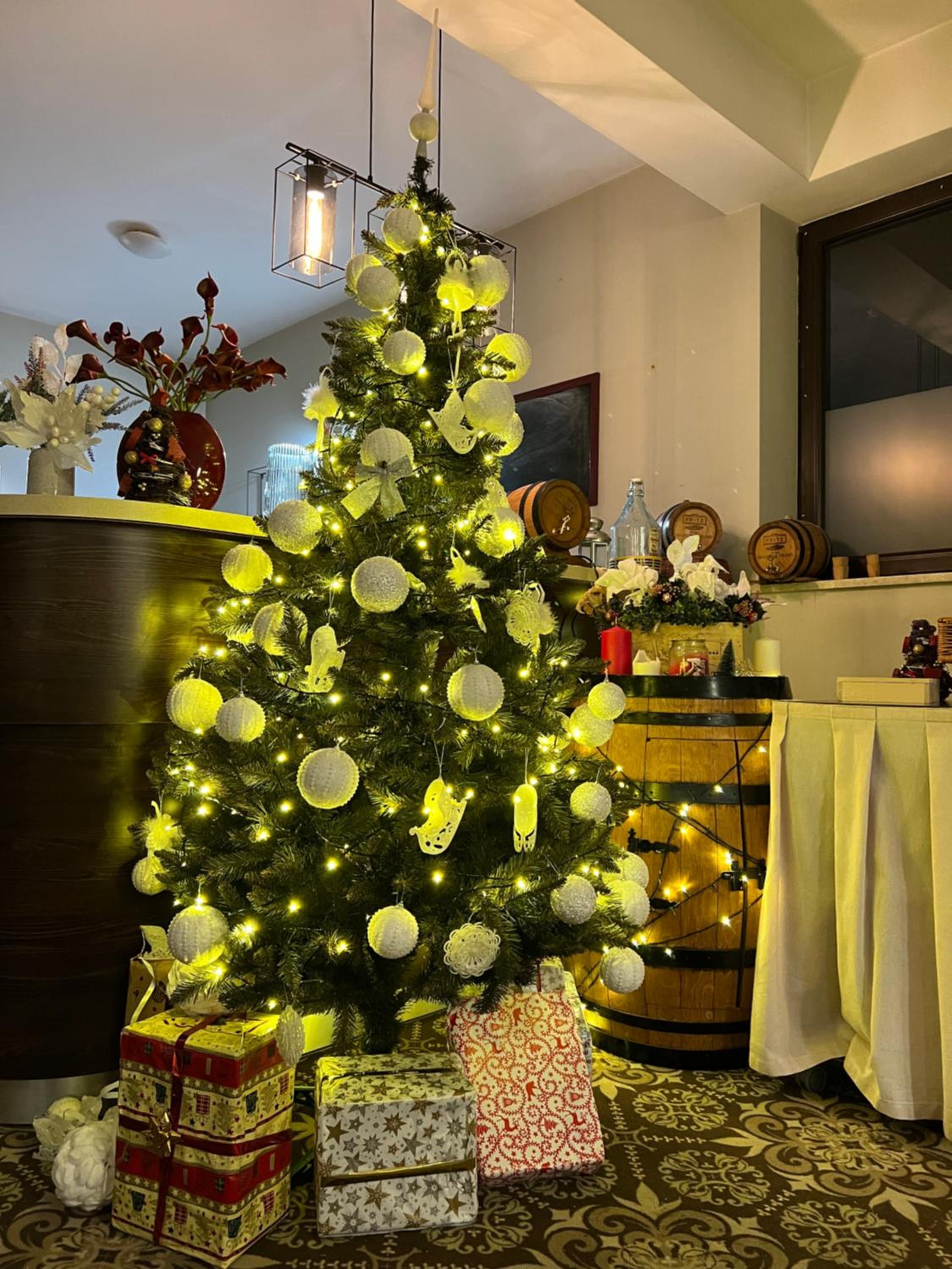 Hotel Nosal