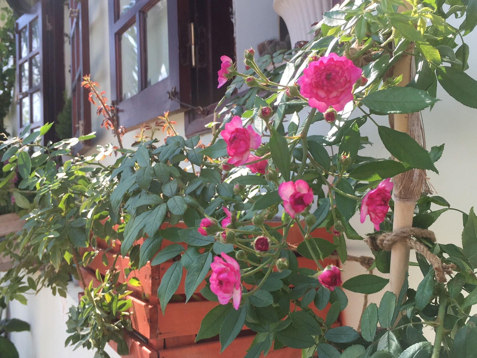 Birdnests Hotel - photo