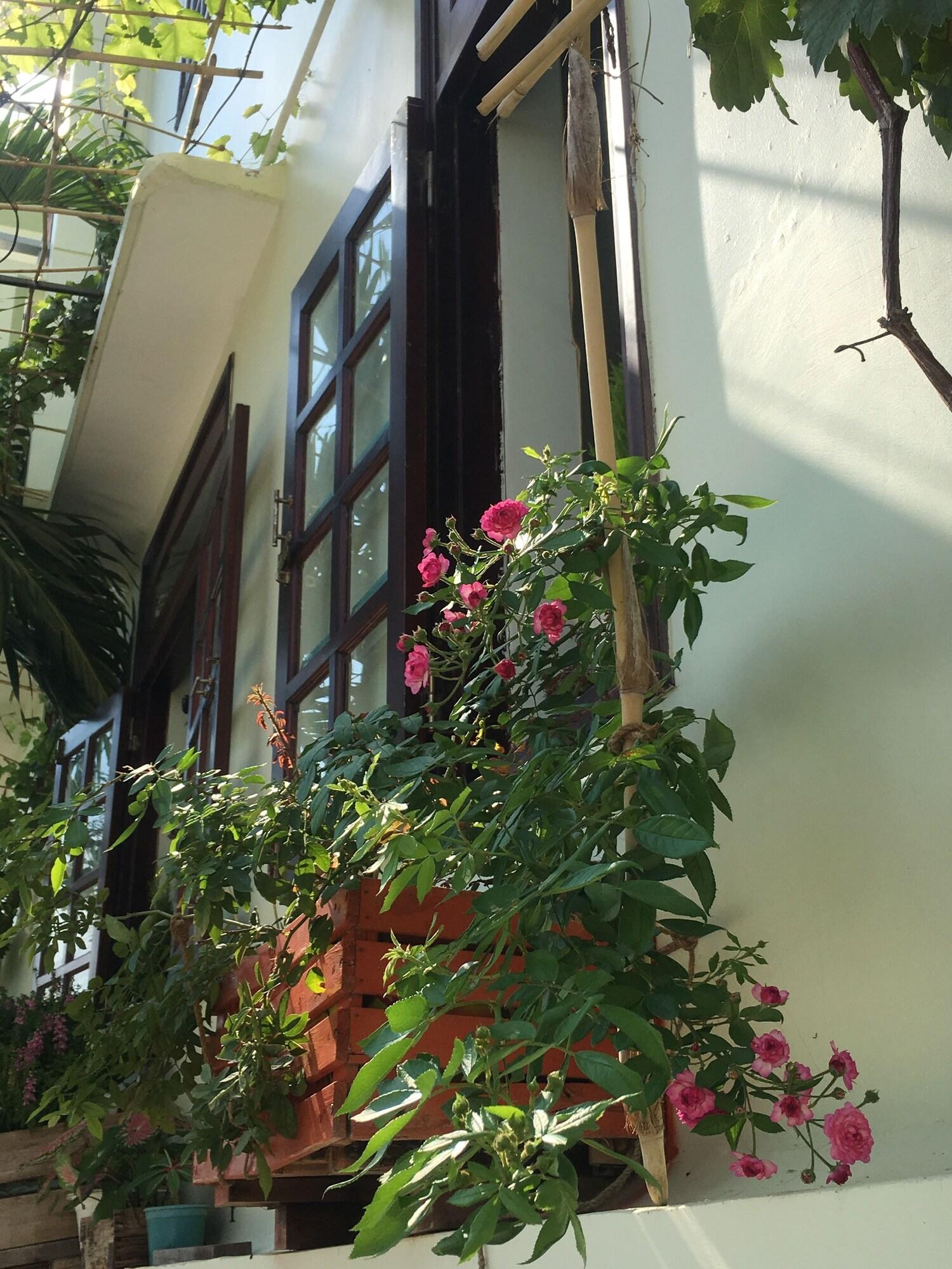 Birdnests Hotel - photo