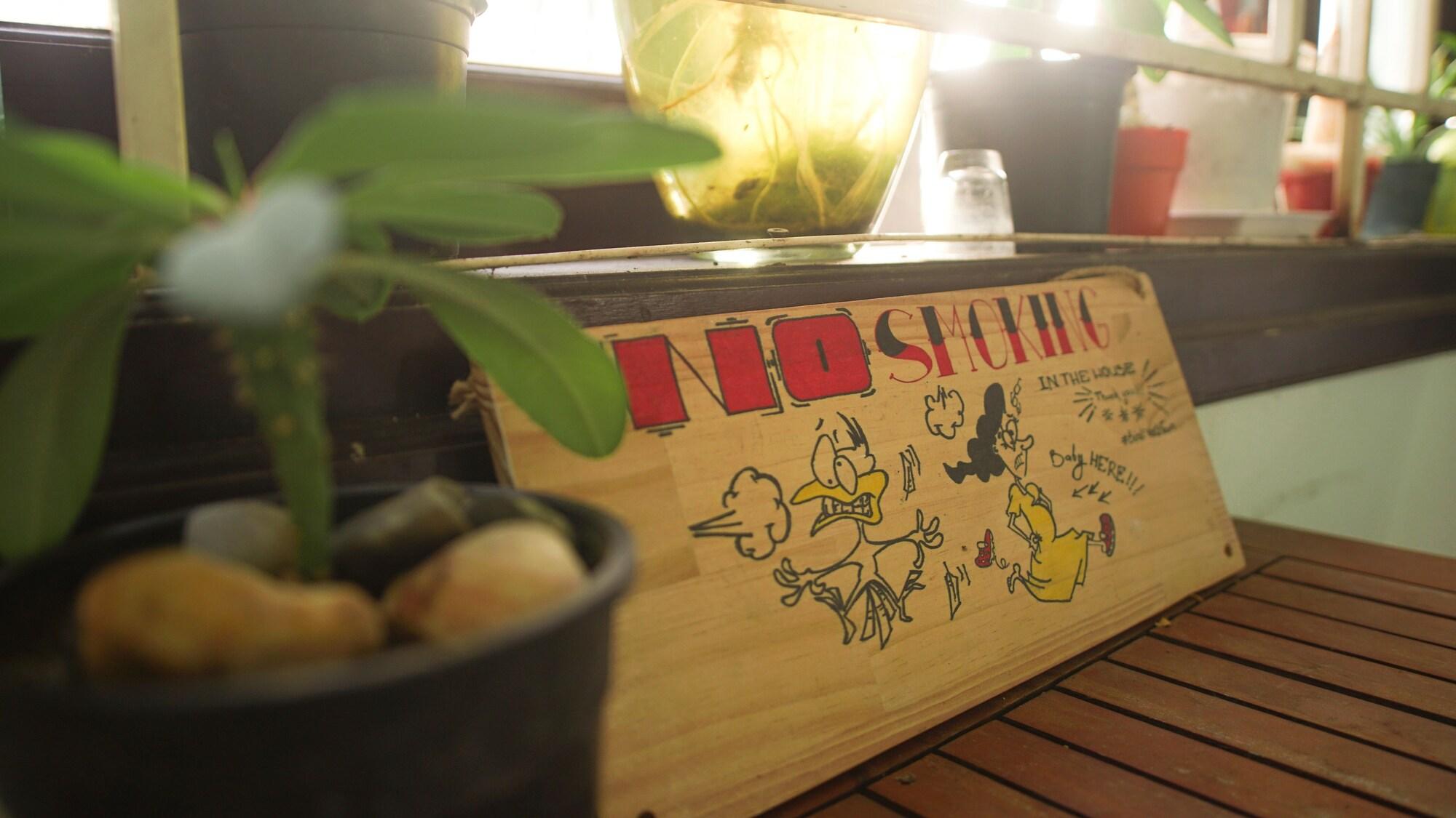 Birdnests Hotel - photo