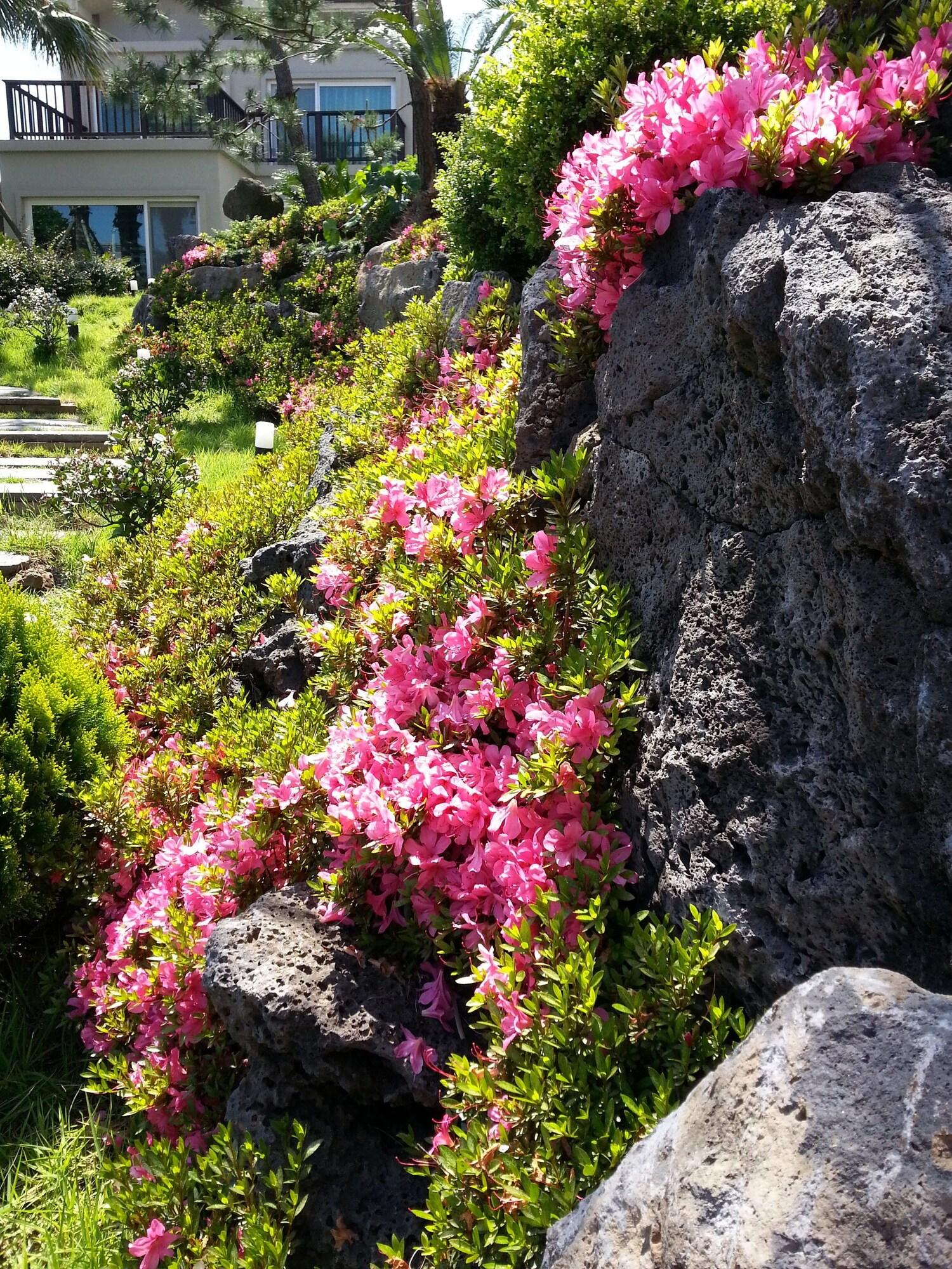 T Island Resort