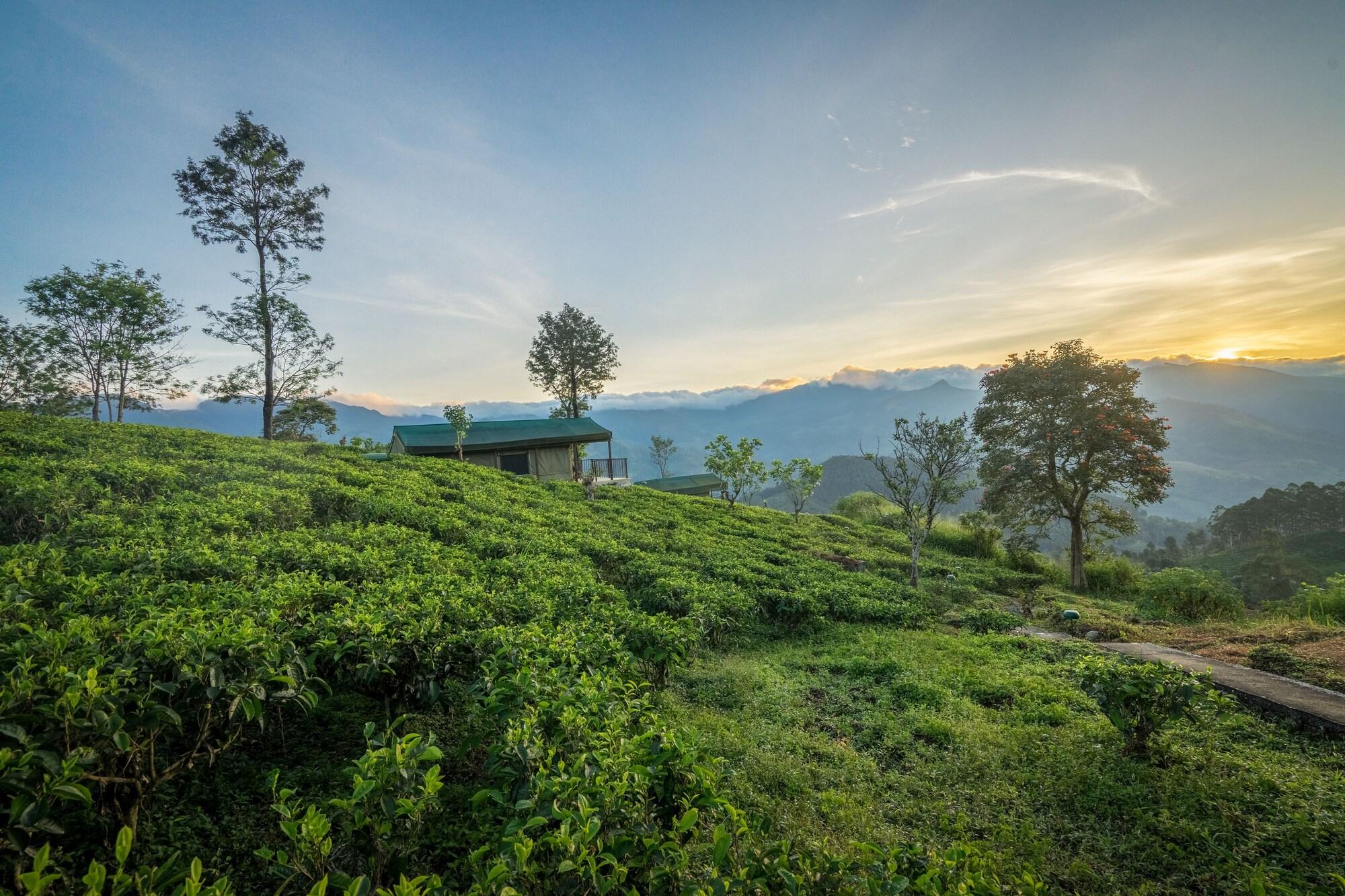 Madulkelle Tea and Eco Lodge by null