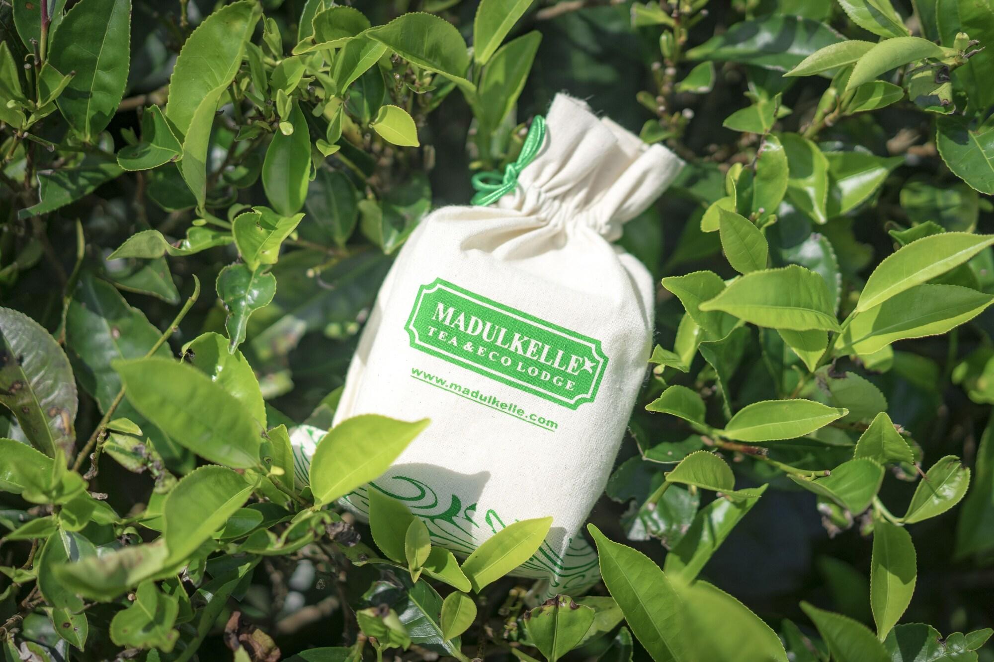 Madulkelle Tea and Eco Lodge by null