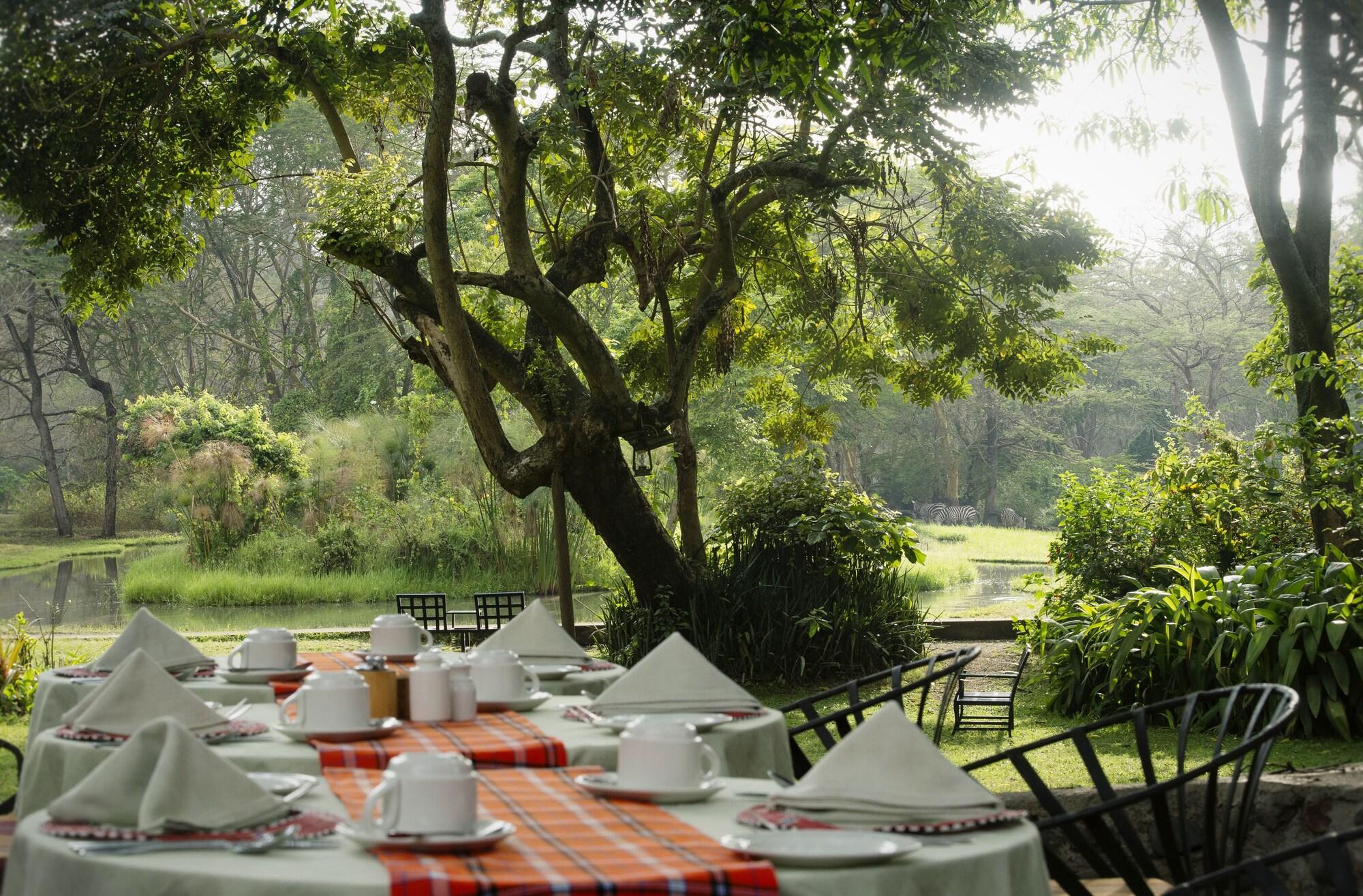 Mount Meru Game Lodge by null