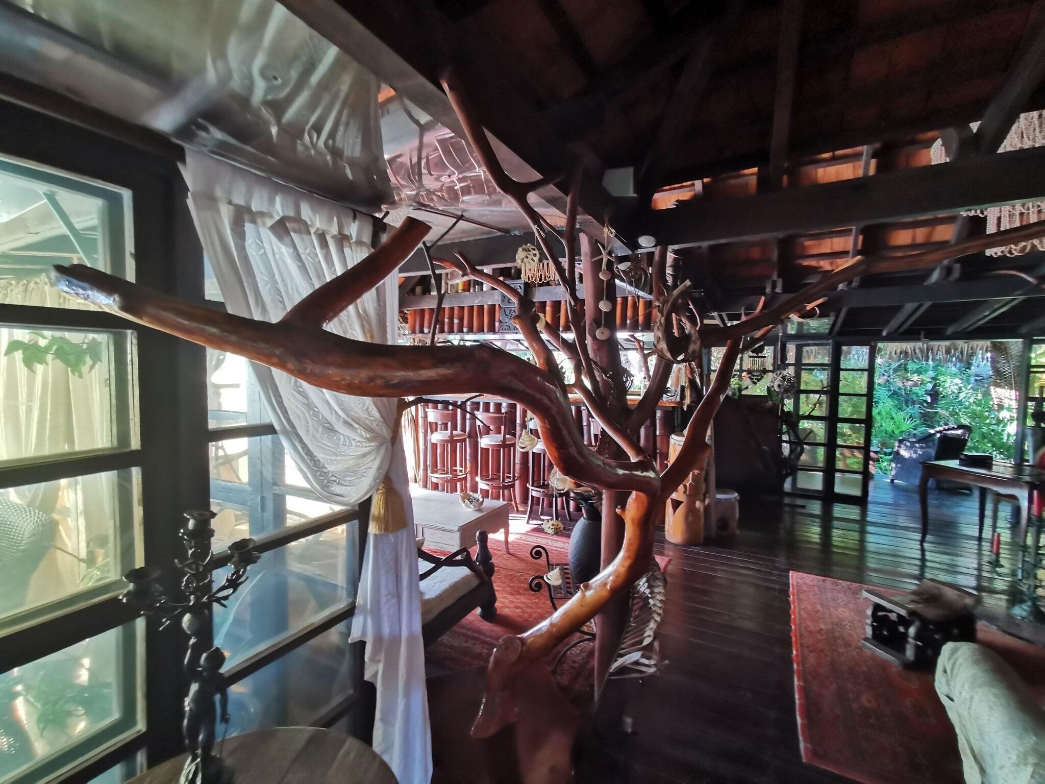 Fenua Mata'i'oa by null