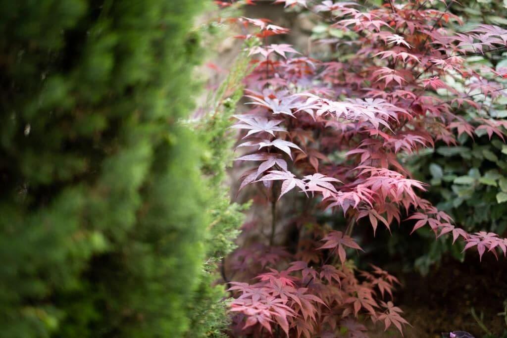 CITY LOFT - ΞΕΝΟΔΟΧΕΙΟ - ΠΑΤΡΑ by null