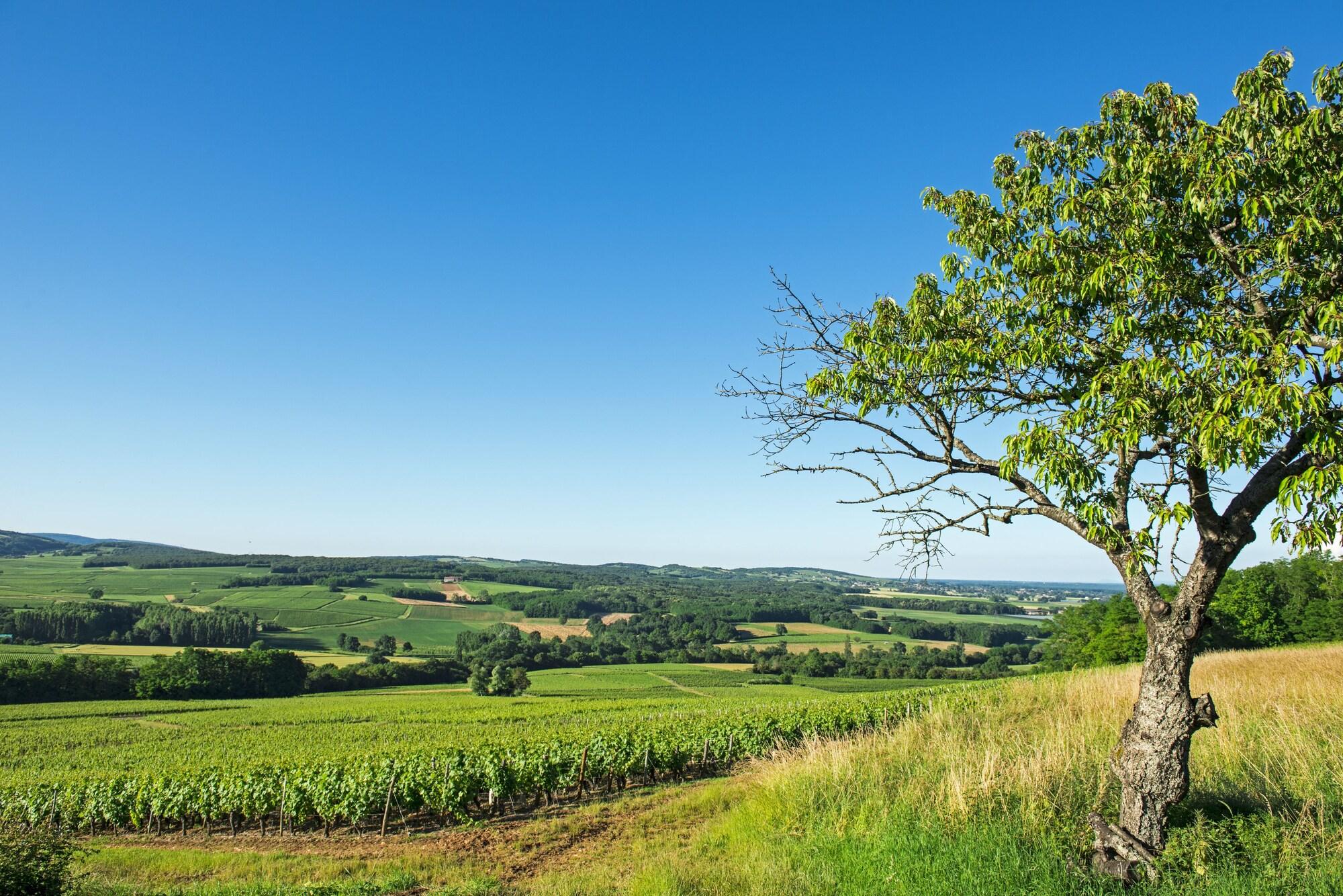 Le Relais de Montmartre by null