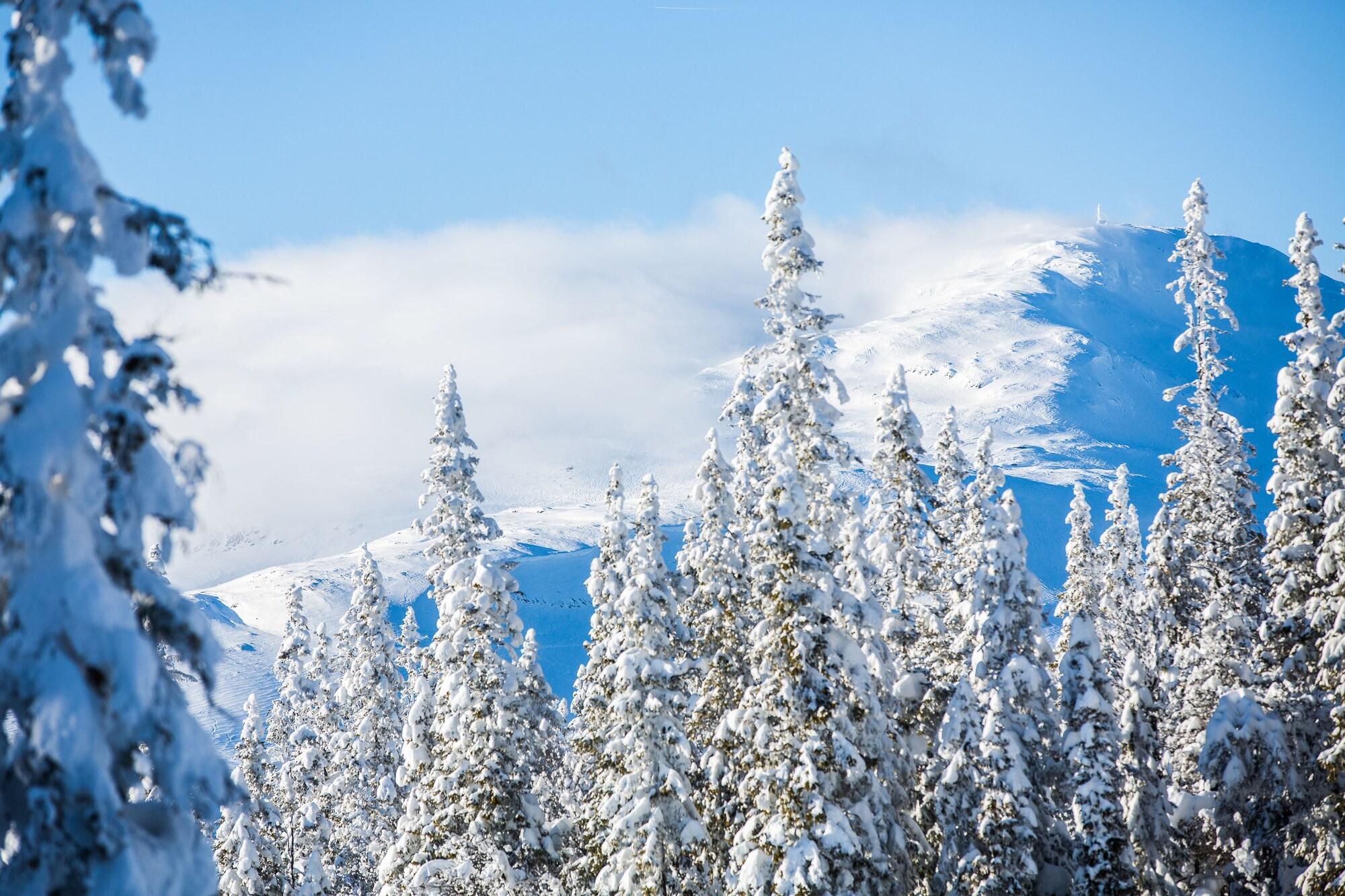 Copperhill Mountain Lodge by null