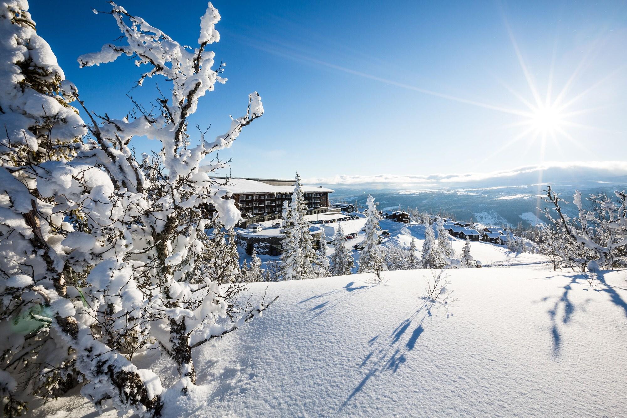 Copperhill Mountain Lodge by null