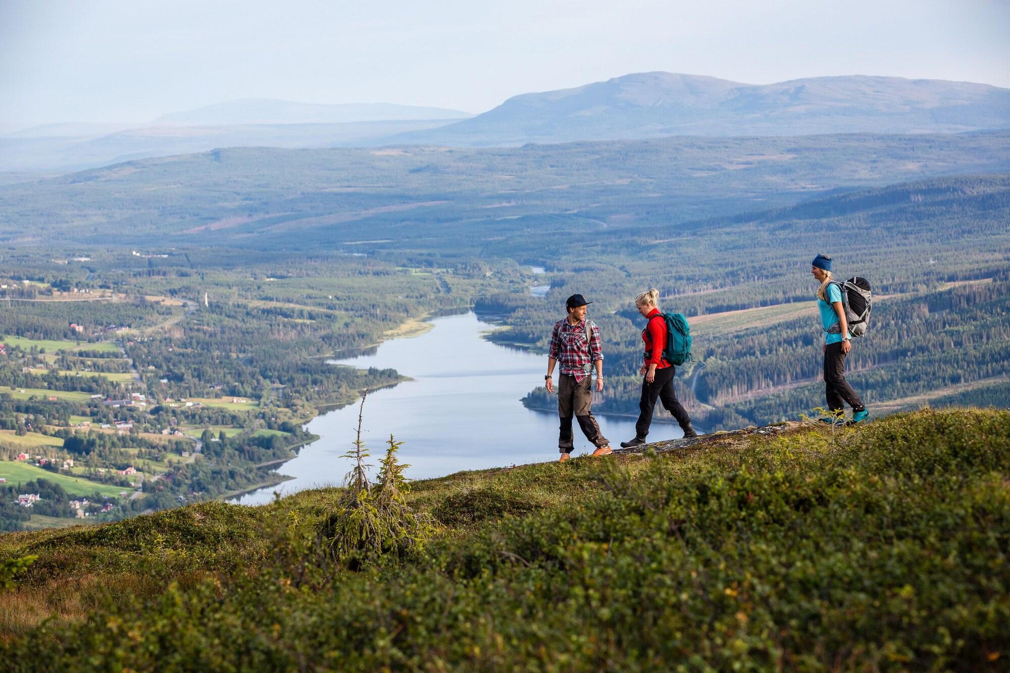 Copperhill Mountain Lodge by null