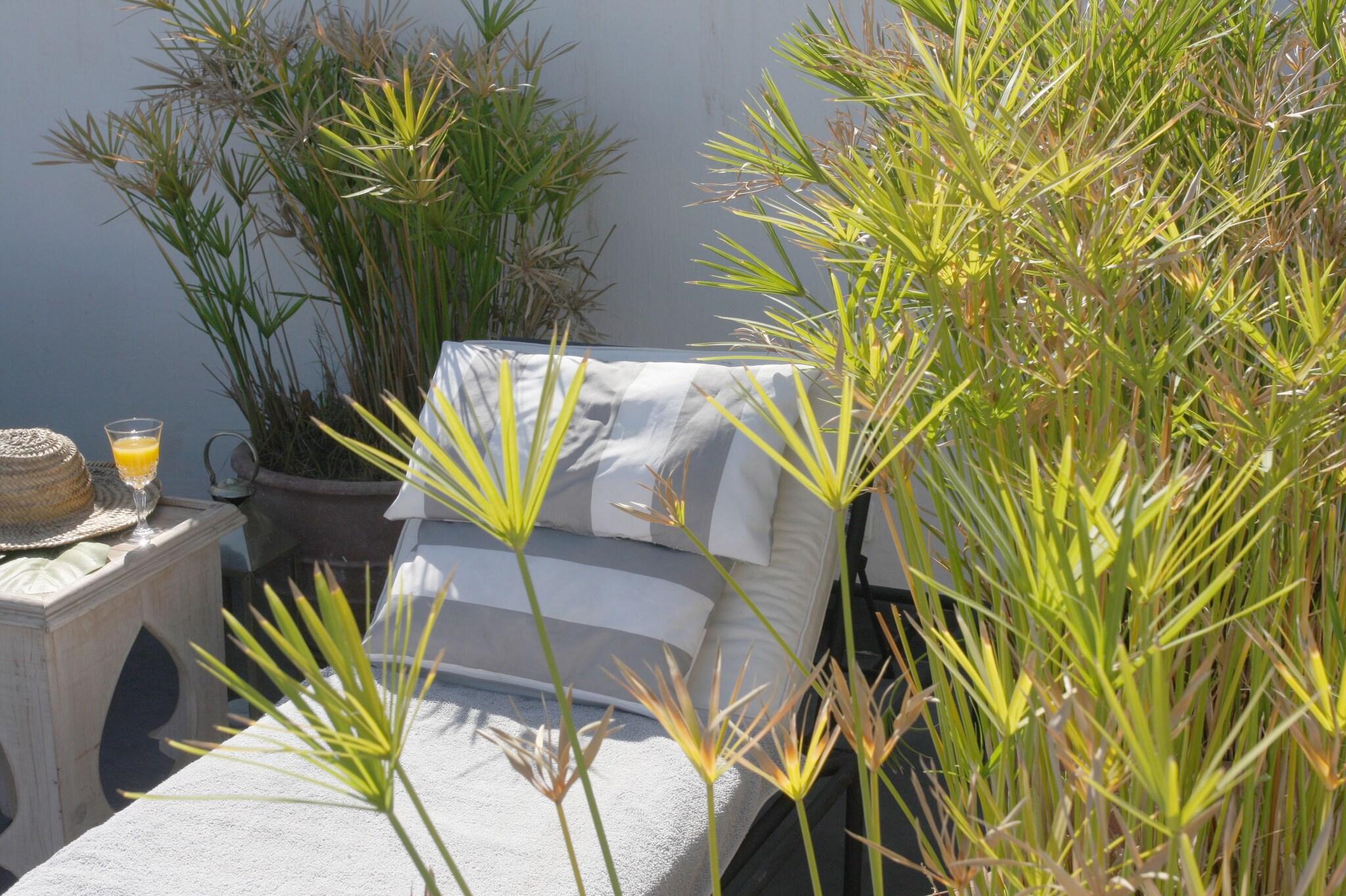 Dar Seven Boutique Hotel by null