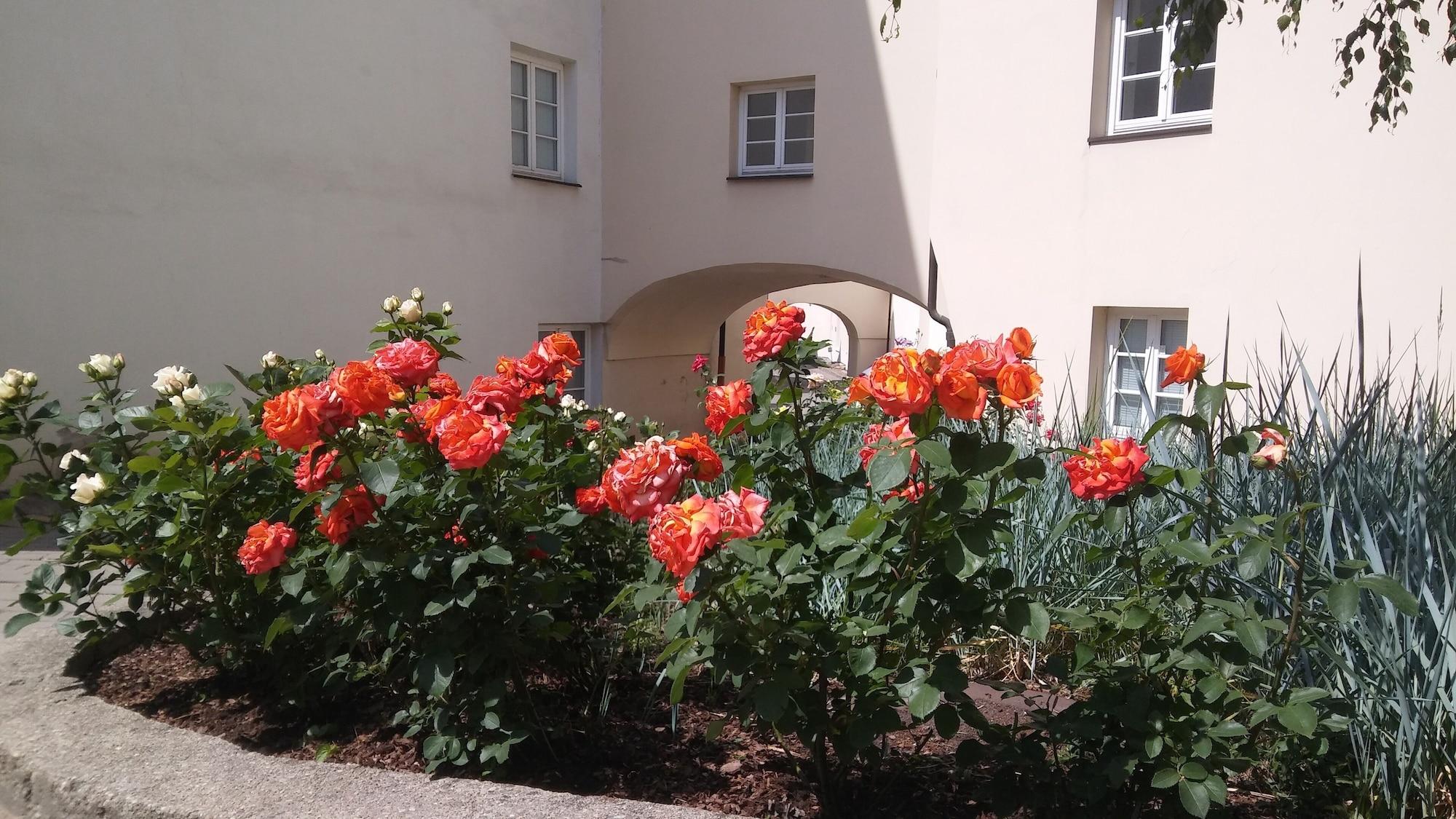 Domus Maria Hotel by null